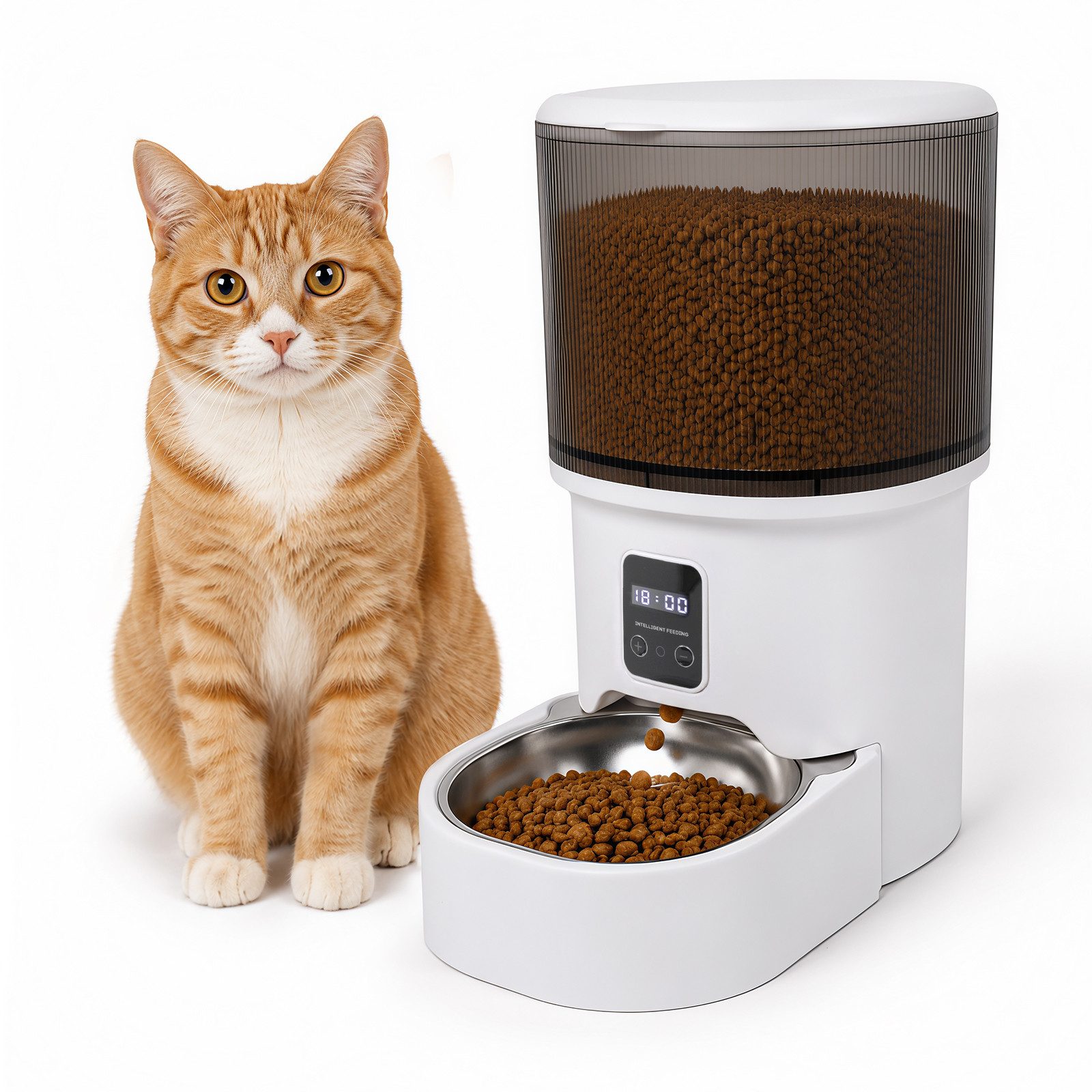 DAITORE Katzen-Futterautomat 4L Katzenfutter Automat, 1-6 Mahlzeiten pro Tag, Edelstahlnapf, Doppelte Stromversorgung/LCD-Display/zeitgesteuerte Fütterung