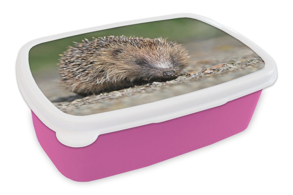 rosa Igel Brotdose Lunchbox Brotbox für (2-tlg), Kunststoff, MuchoWow Schotter, auf Mädchen, Kunststoff Snackbox, Erwachsene, Kinder,