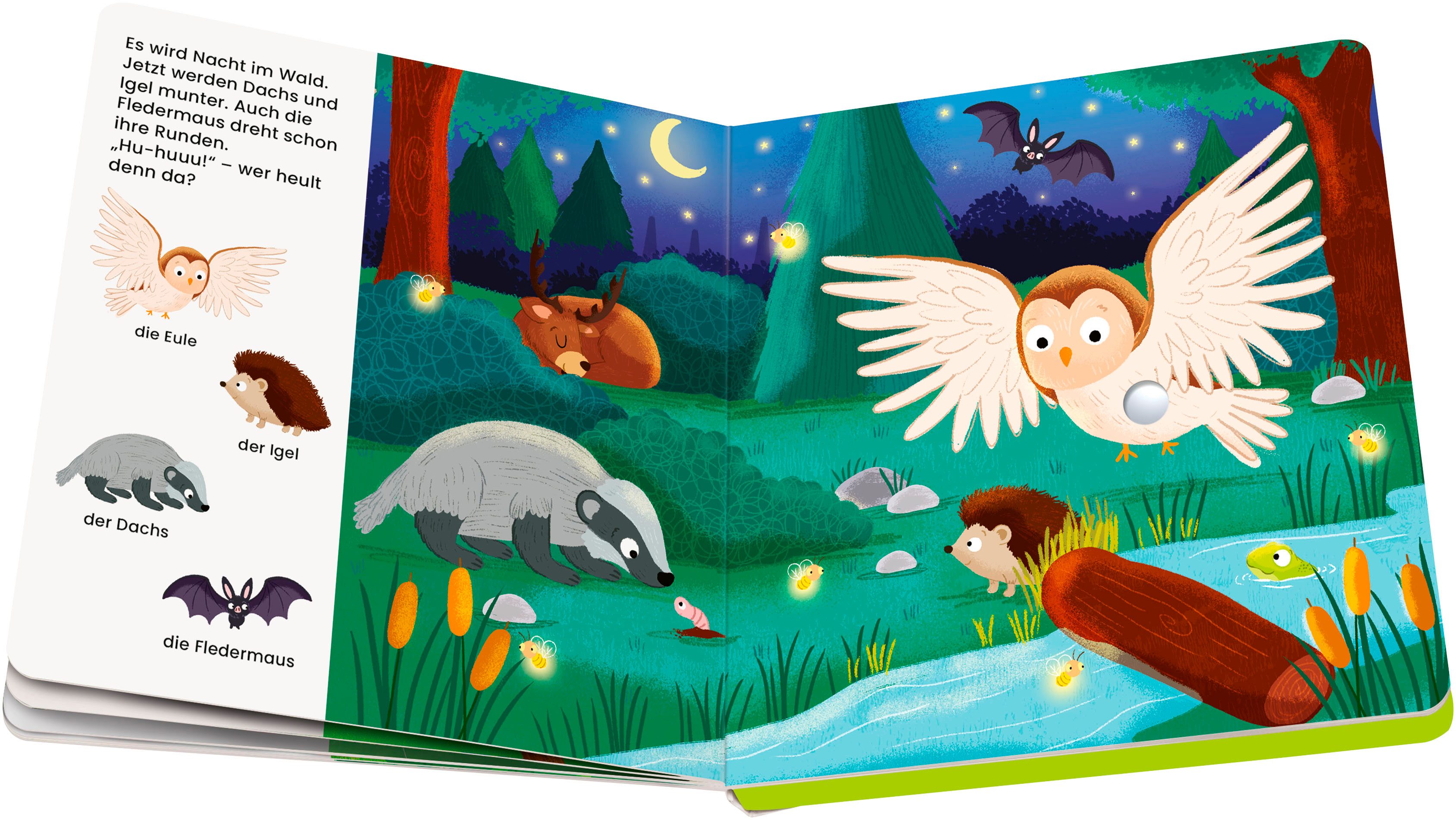 Play+ Mein allererstes Soundbuch Tiere im Wald – Bild 3 von 4