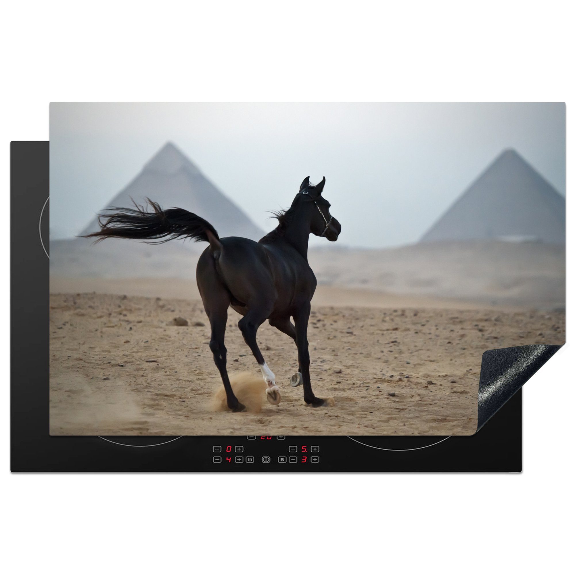 MuchoWow Herdblende-/Abdeckplatte Araber - Pferd - Ägypten - Wüste, Vinyl, (1 tlg), 81x52 cm, Induktionskochfeld Schutz für die küche, Ceranfeldabdeckung