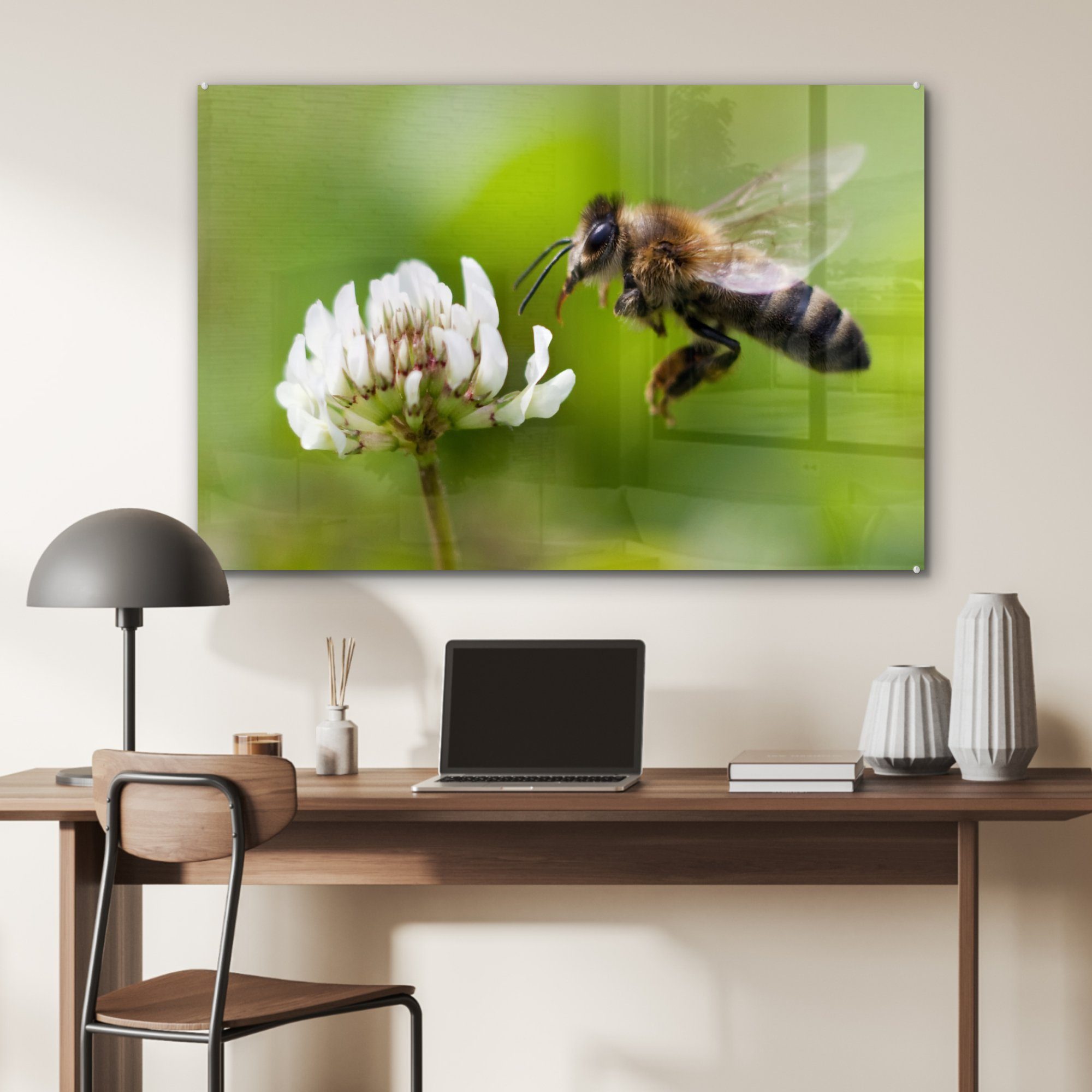 weißen Nahaufnahme mit & Schlafzimmer einer Acrylglasbild St), (1 einer MuchoWow Blume, Acrylglasbilder Biene Wohnzimmer