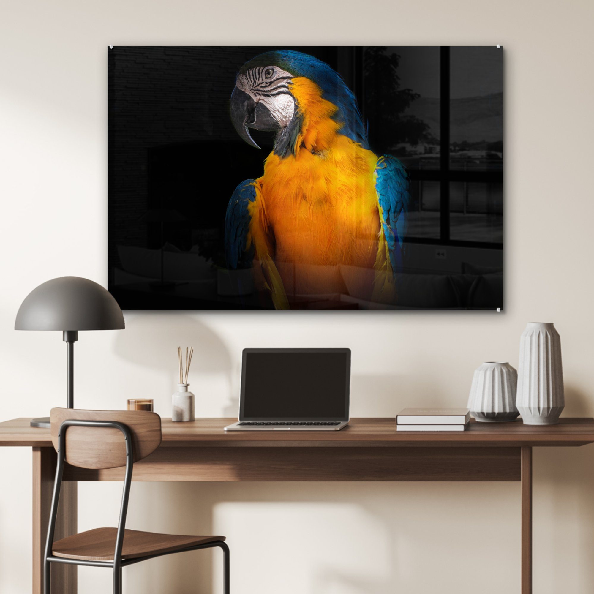 MuchoWow Acrylglasbild Tiere - St), Acrylglasbilder (1 Papagei Vogel, - Wohnzimmer & Schlafzimmer