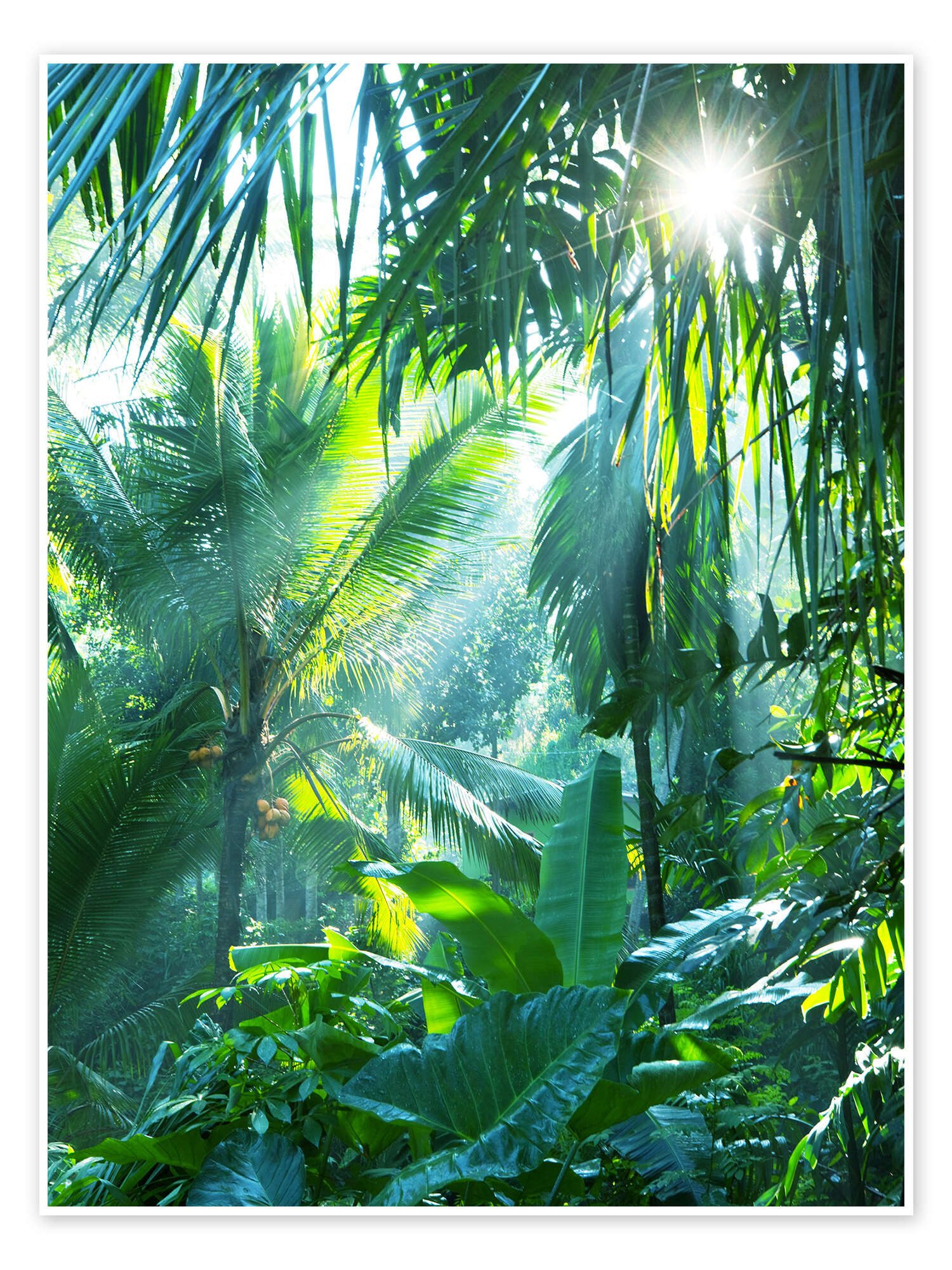 Poster Editors Choice