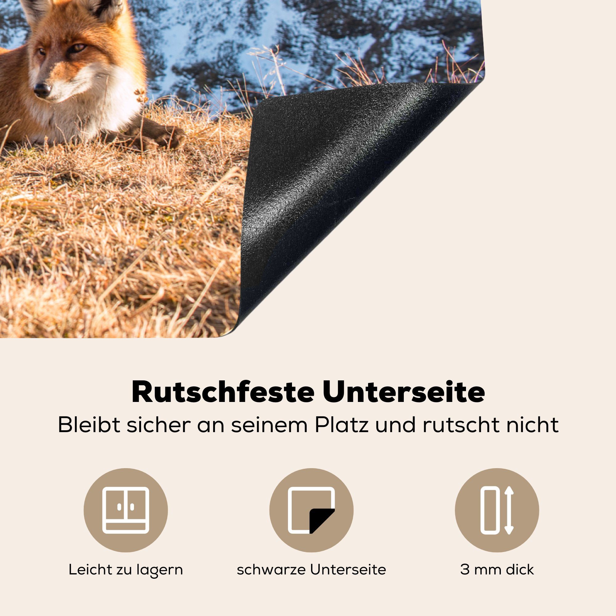 MuchoWow Herdblende-/Abdeckplatte Fuchs - Berg Induktionskochfeld (1 Gras, tlg), die - küche, Vinyl, für cm, Schutz Ceranfeldabdeckung 81x52