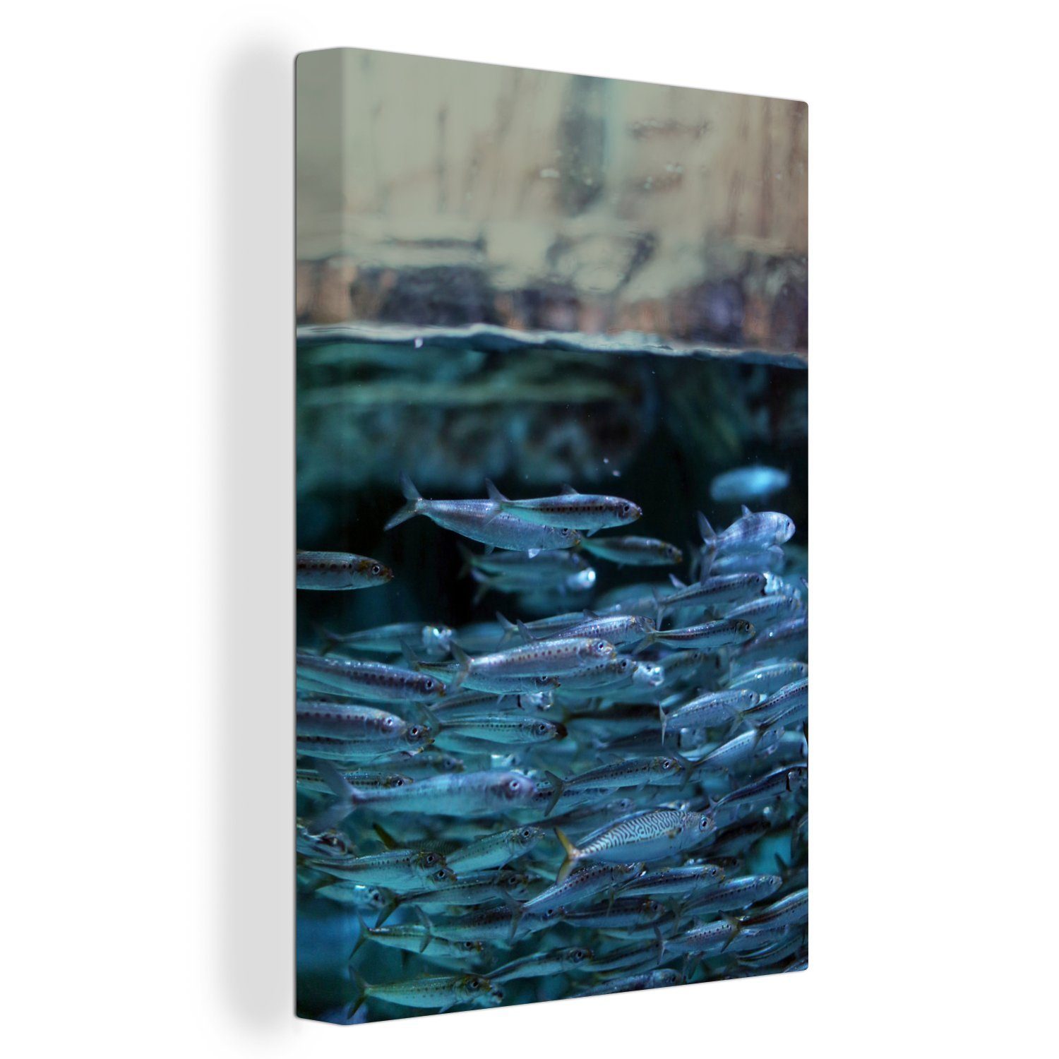 OneMillionCanvasses® Leinwandbild Fisch - Schule - Wasser, (1 St), Leinwandbild fertig bespannt inkl. Zackenaufhänger, Gemälde, 20x30 cm