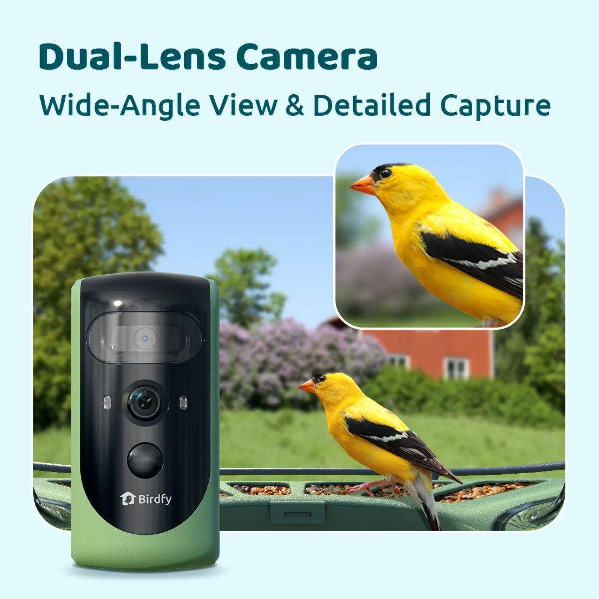 Birdfy Vogelhaus Feeder Pro 2 Lite, zwei Kameras, KI-Erkennung, Solar