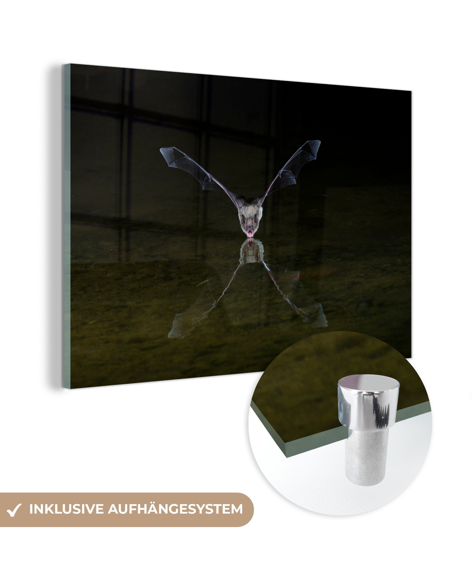 MuchoWow Acrylglasbild Fledermaus - Wasser - Spiegelung, (1 St), Acrylglasbilder Wohnzimmer & Schlafzimmer