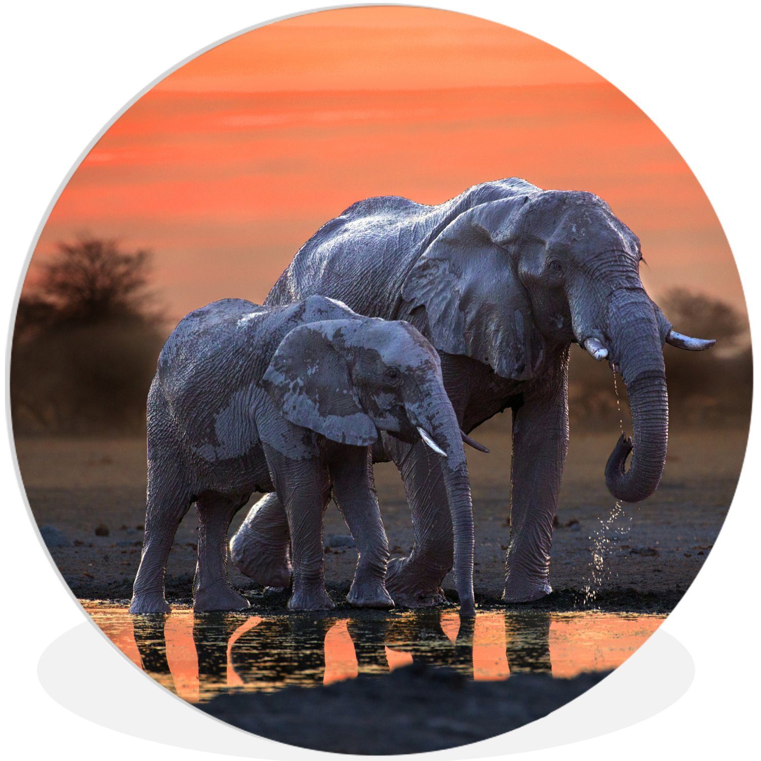 (1 Tiere MuchoWow Gemälde - - cm Kreis Elefant Wanddekoration - Wohnzimmer, Wasser Rundes Sonnenuntergang 30x30 Forex, Wandbild, - Orange, St),