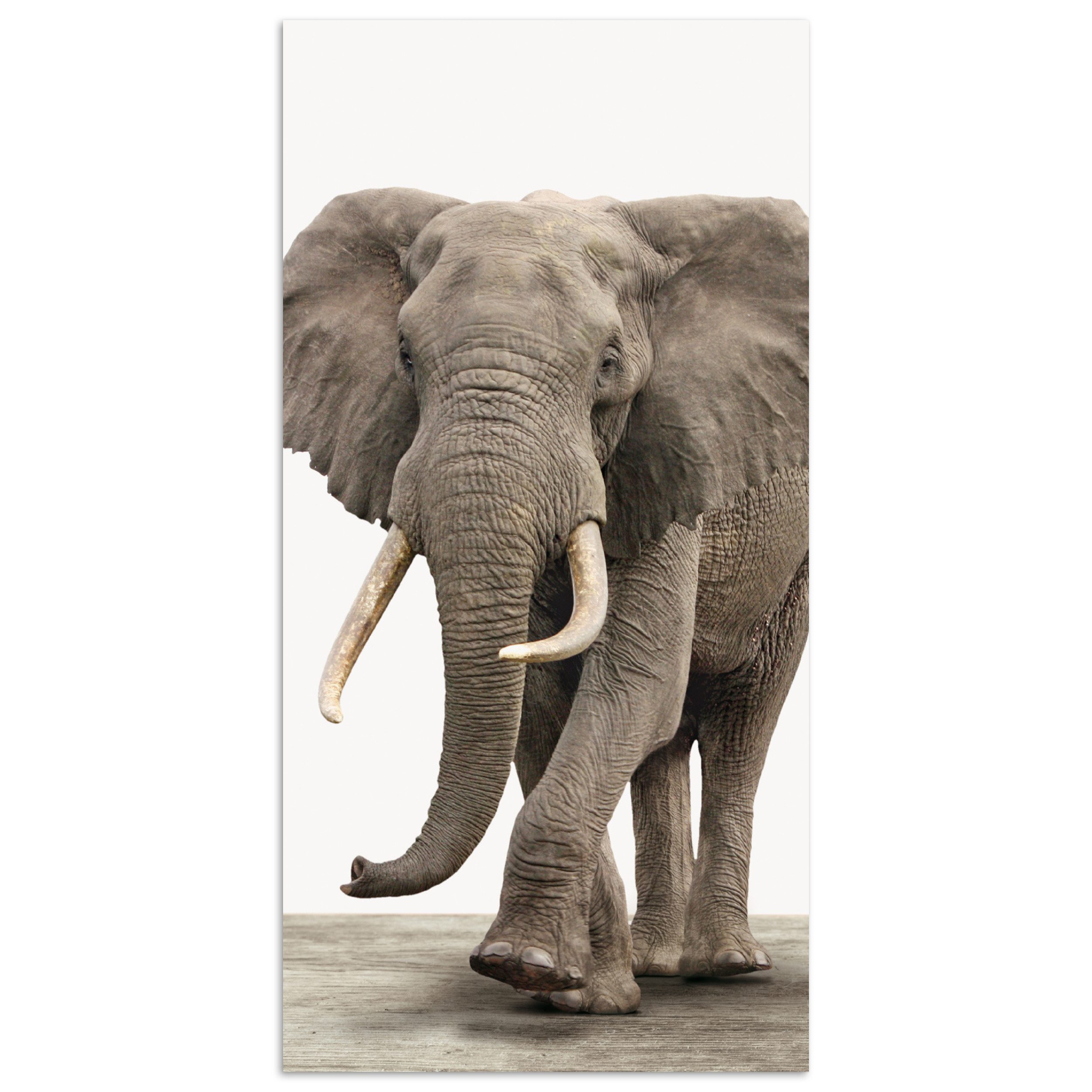Poster Elefant - Kinder - Tiere - Mädchen