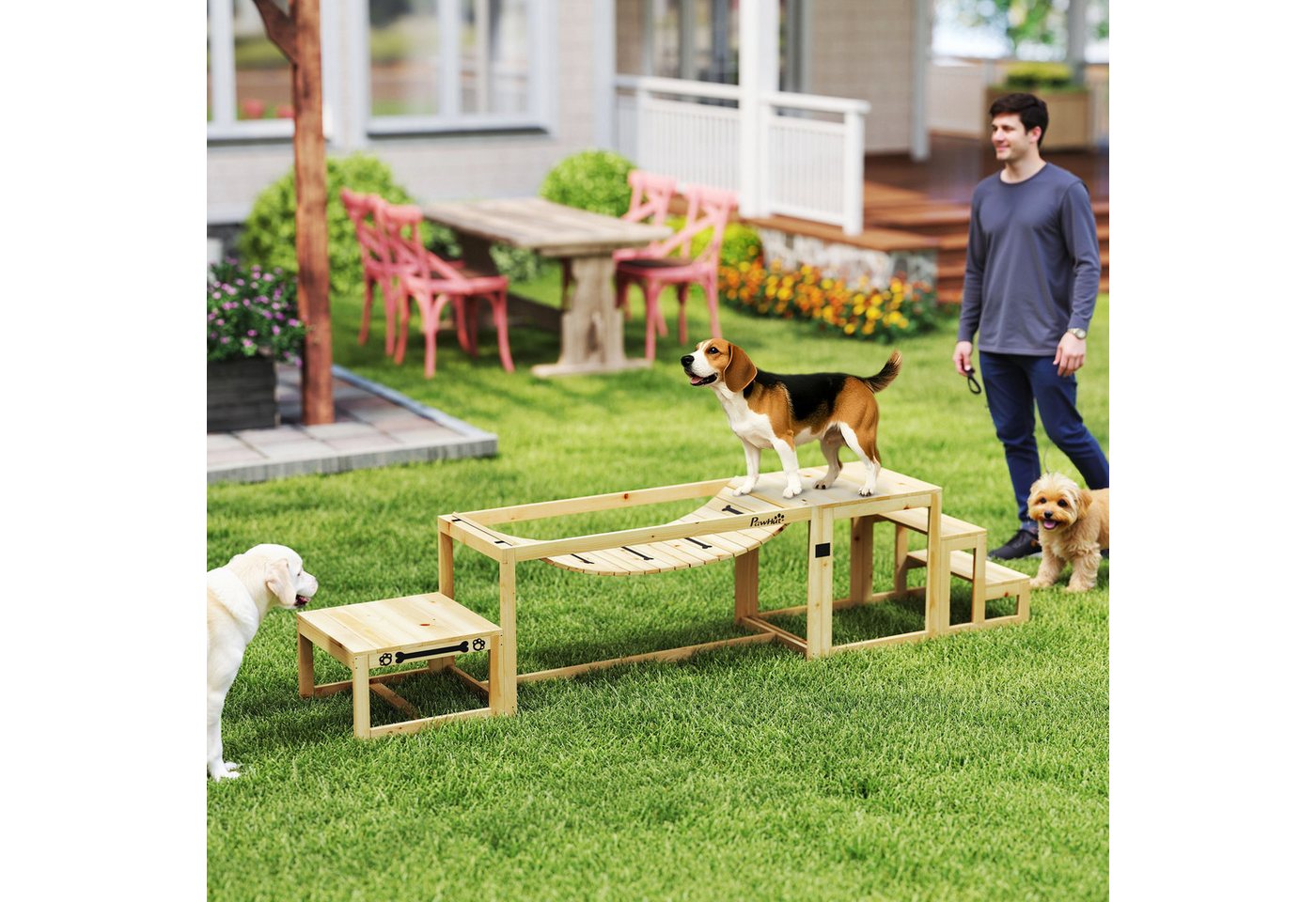 Thumbnail - PawHut Agility-Hürde 4er-Set Hundetraining mit Brücke, Treppe, Plattform, Tannenholz, Hundetraining (1-tlg) für große Hu...