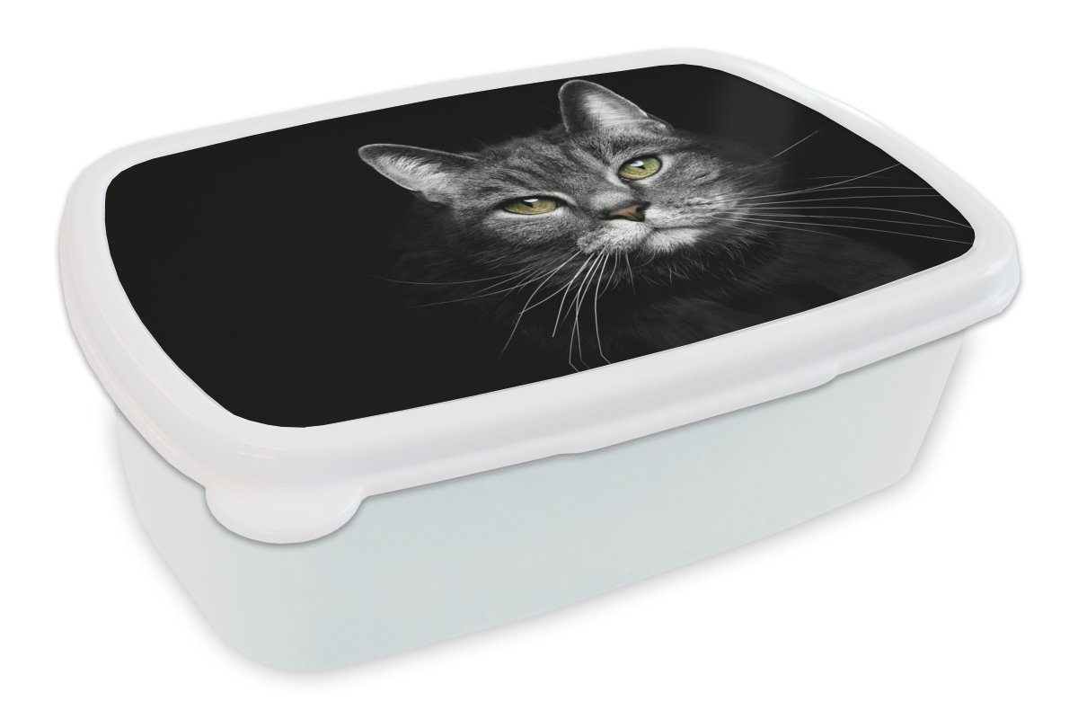 MuchoWow Lunchbox Haustiere - Katze - Tiere - Schwarz - Weiß, Kunststoff, (2-tlg), Brotbox für Kinder und Erwachsene, Brotdose, für Jungs und Mädchen