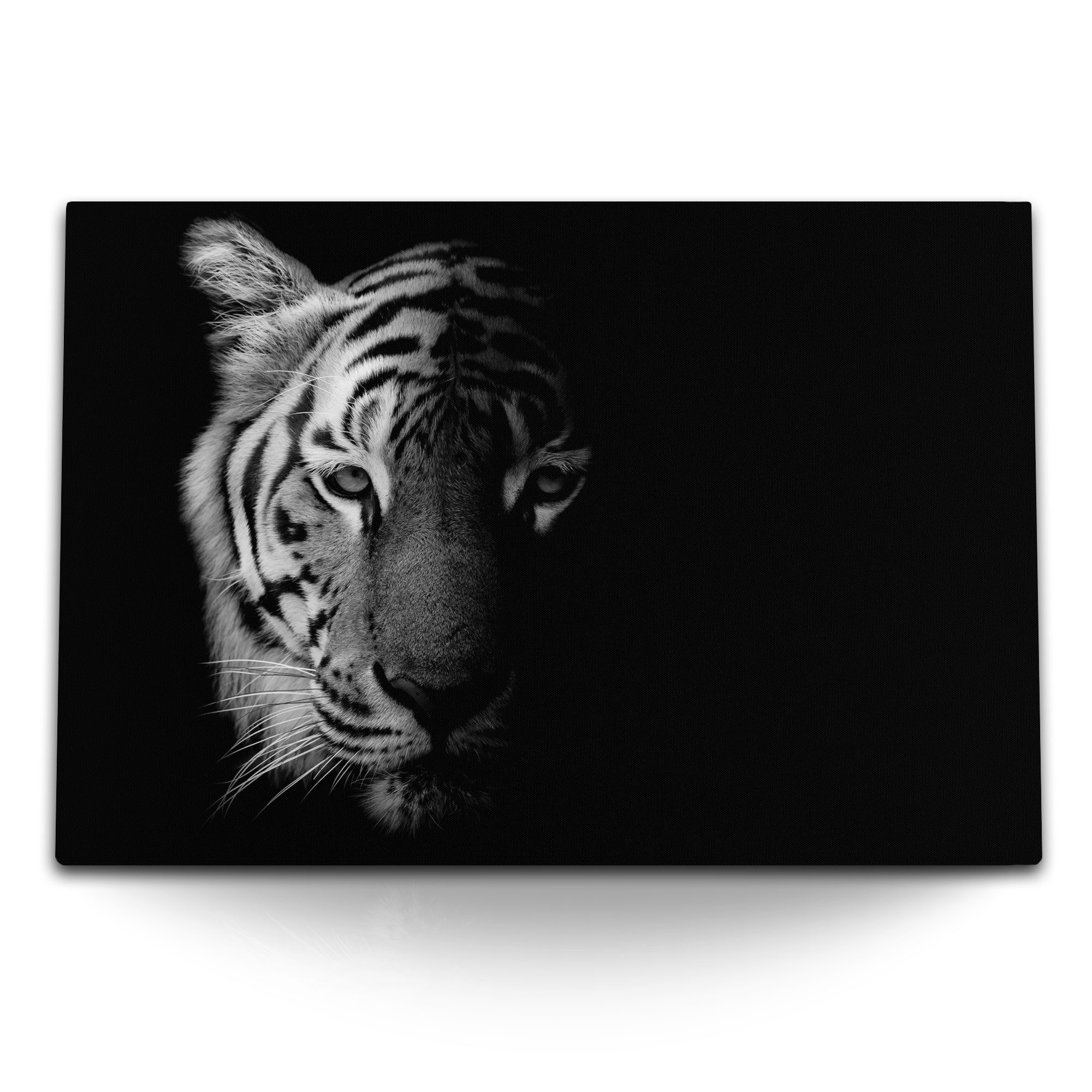 Leinwandbild 120x80cm Wandbild auf Leinwand Tiger Porträt Raubkatze Raubtier Schwar