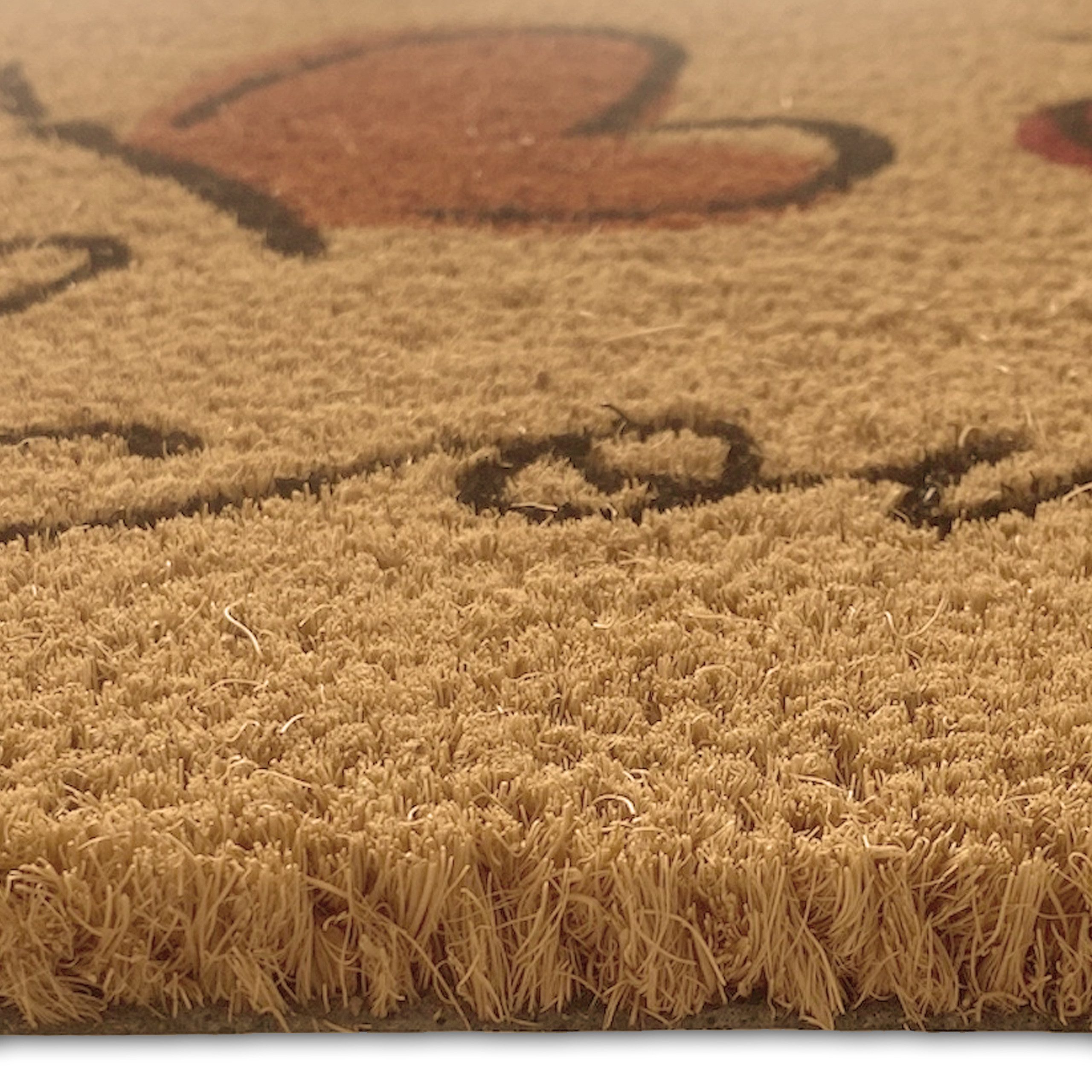 TeppichHome24 Outdoorteppich Robuster Fußabtreter mit Naturfasern • Welcome in bunt, Rechteckig