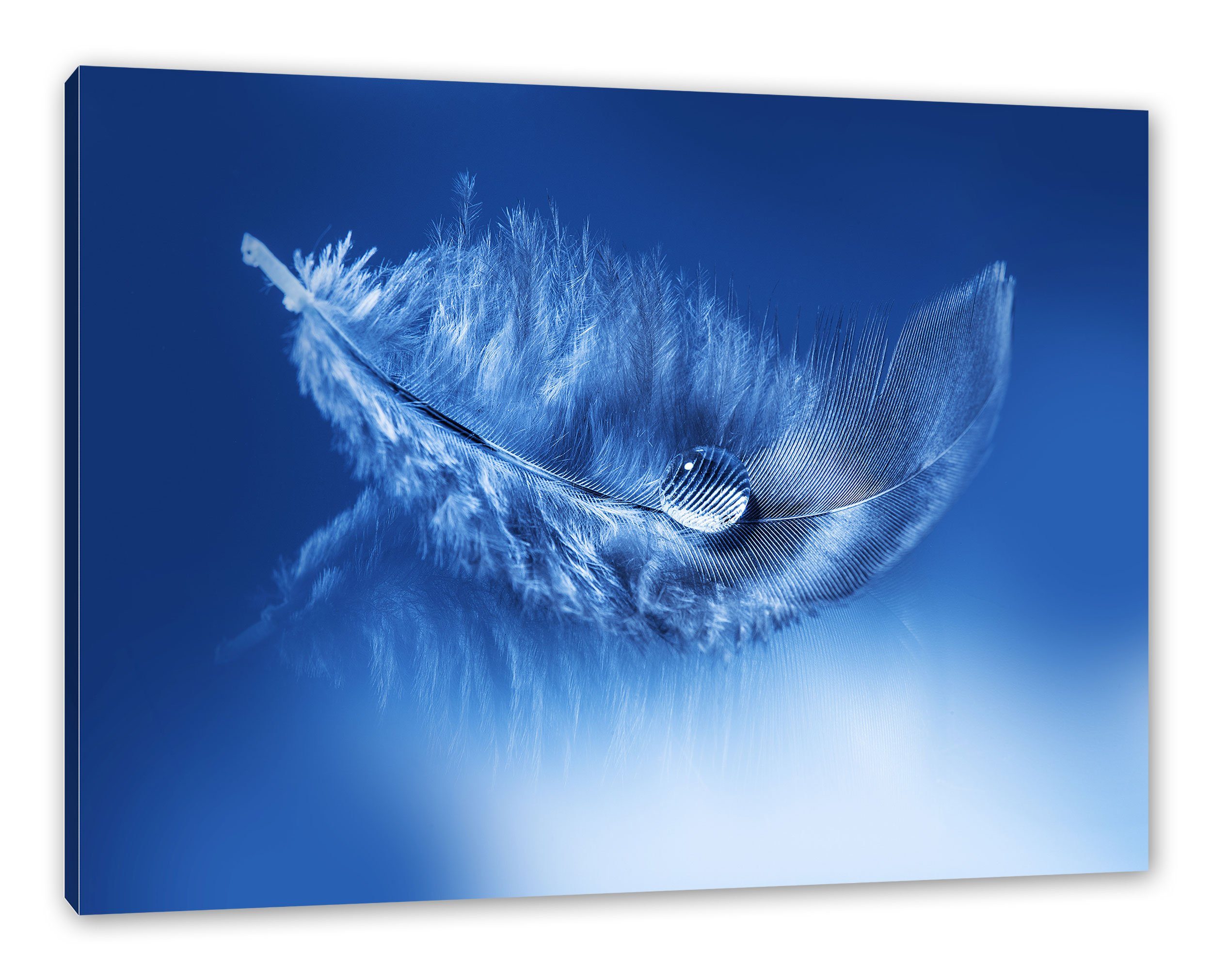 Leinwandbild Wassertropfen auf Feder