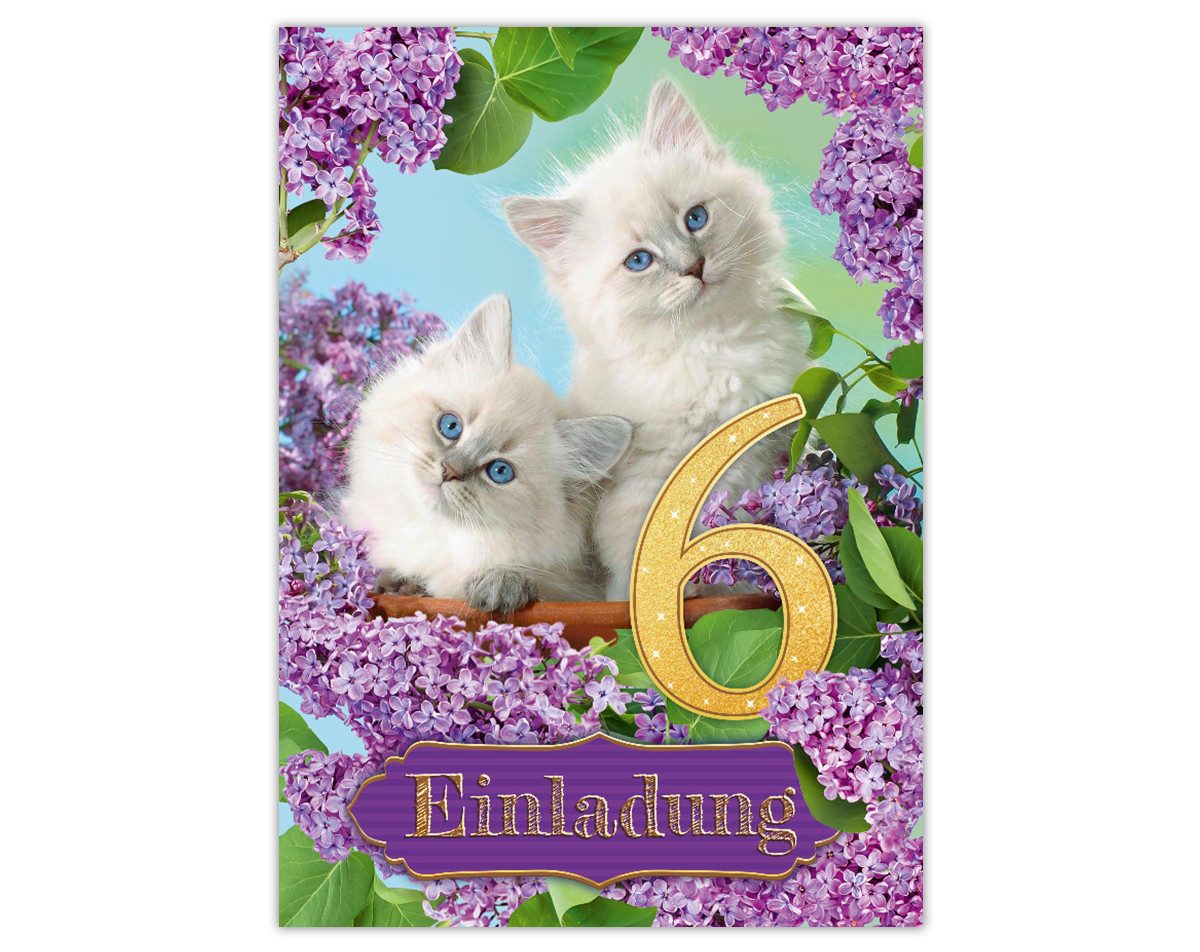 JUNAPACK Einladungskarten Katzen Einladungen zum Kindergeburtstag Katzen Karten Mädchen, Einladungskarten mit einem Katzen zum 6. Geburtstag