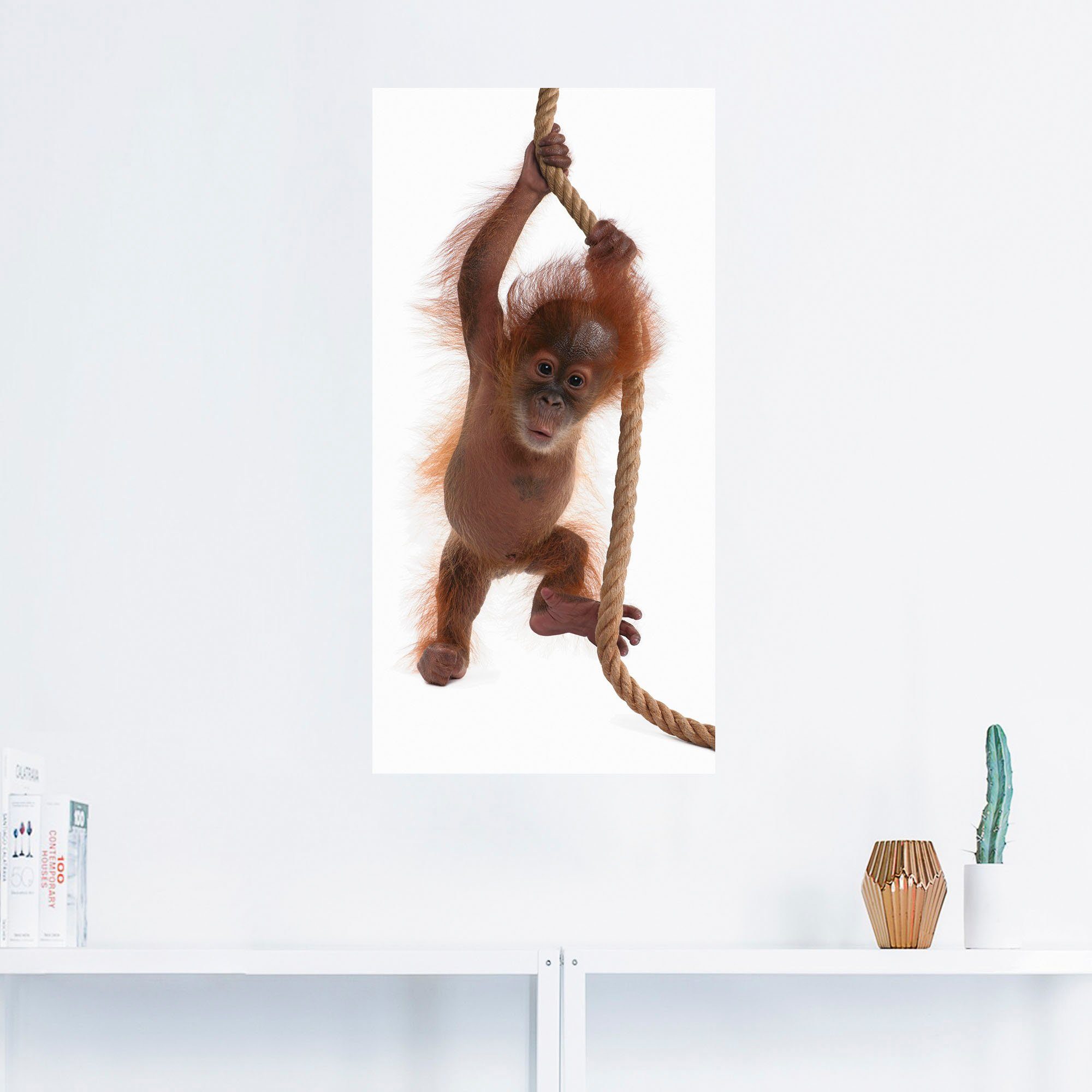 Artland Wandbild Baby I, hängt Leinwandbild, oder Utan St), Größen (1 als Seil Alubild, versch. am in Orang Wandaufkleber Wildtiere Poster
