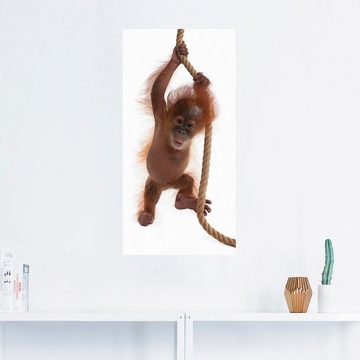 Artland Wandbild Baby Orang Utan hängt am Seil I, Wildtiere (1 St), als Alubild, Leinwandbild, Wandaufkleber oder Poster in versch. Größen