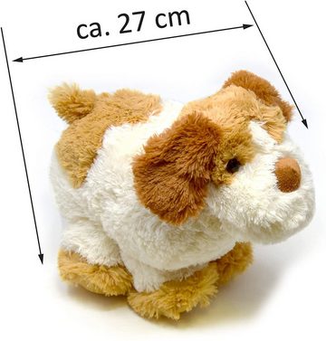 azzesso Kuscheltier Hund (1-St., 27 cm), flauschiges Stofftier, weiß, braun, Plüsch
