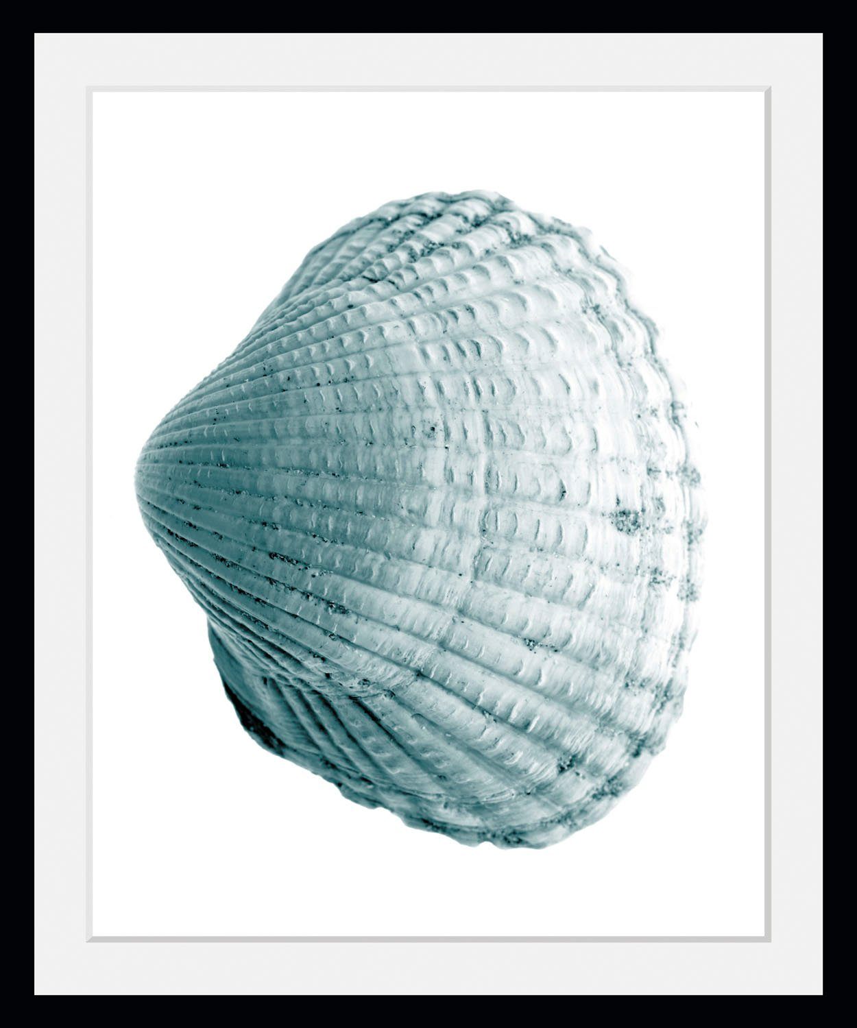 queence Bild Leon, Kunst, Meer, Wassertiere (1 St), HD Premium Poster-Druck inkl. Holzrahmen