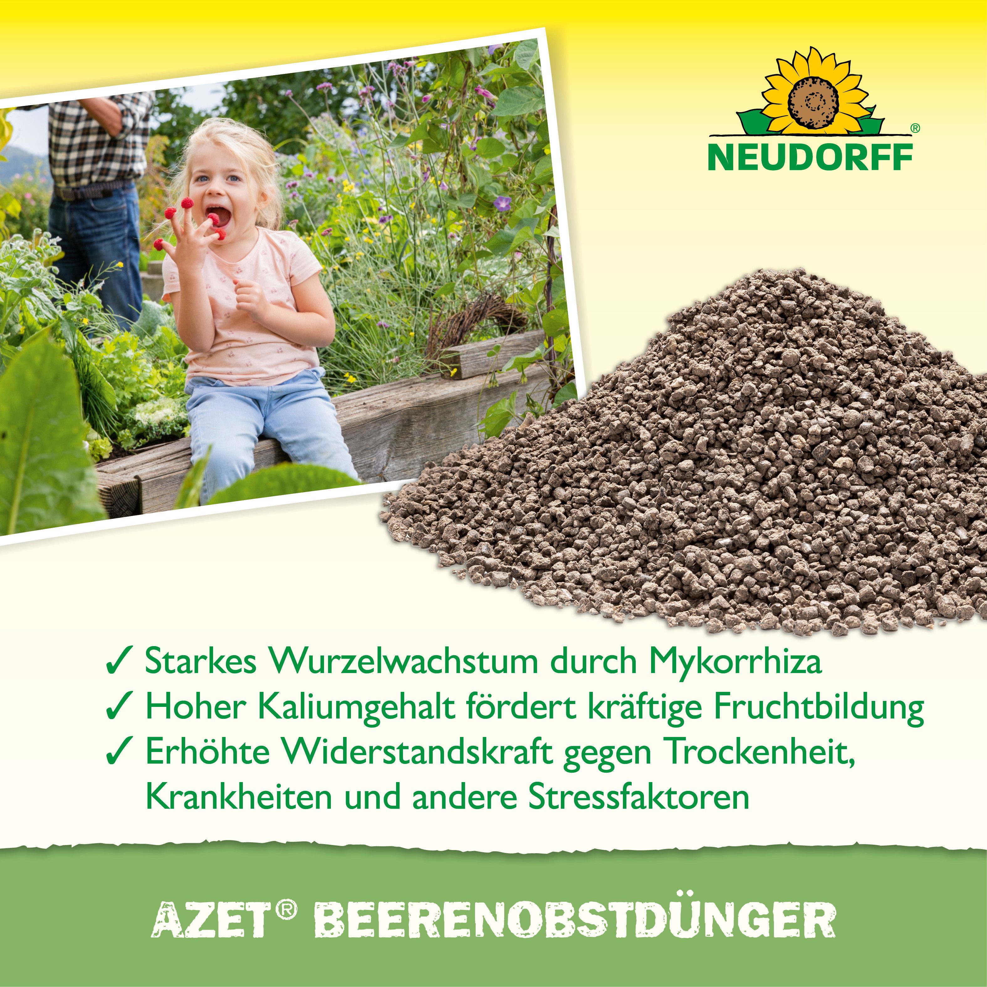 Neudorff Obstdünger Azet Beeren- & ObstDünger 2,5 kg, organischer Langzeitdünger mit Sofort- & Langzeitwirkung, Himbeer & Erdbeer Dünger aus natürlichen Rohstof – Bild 4 von 5
