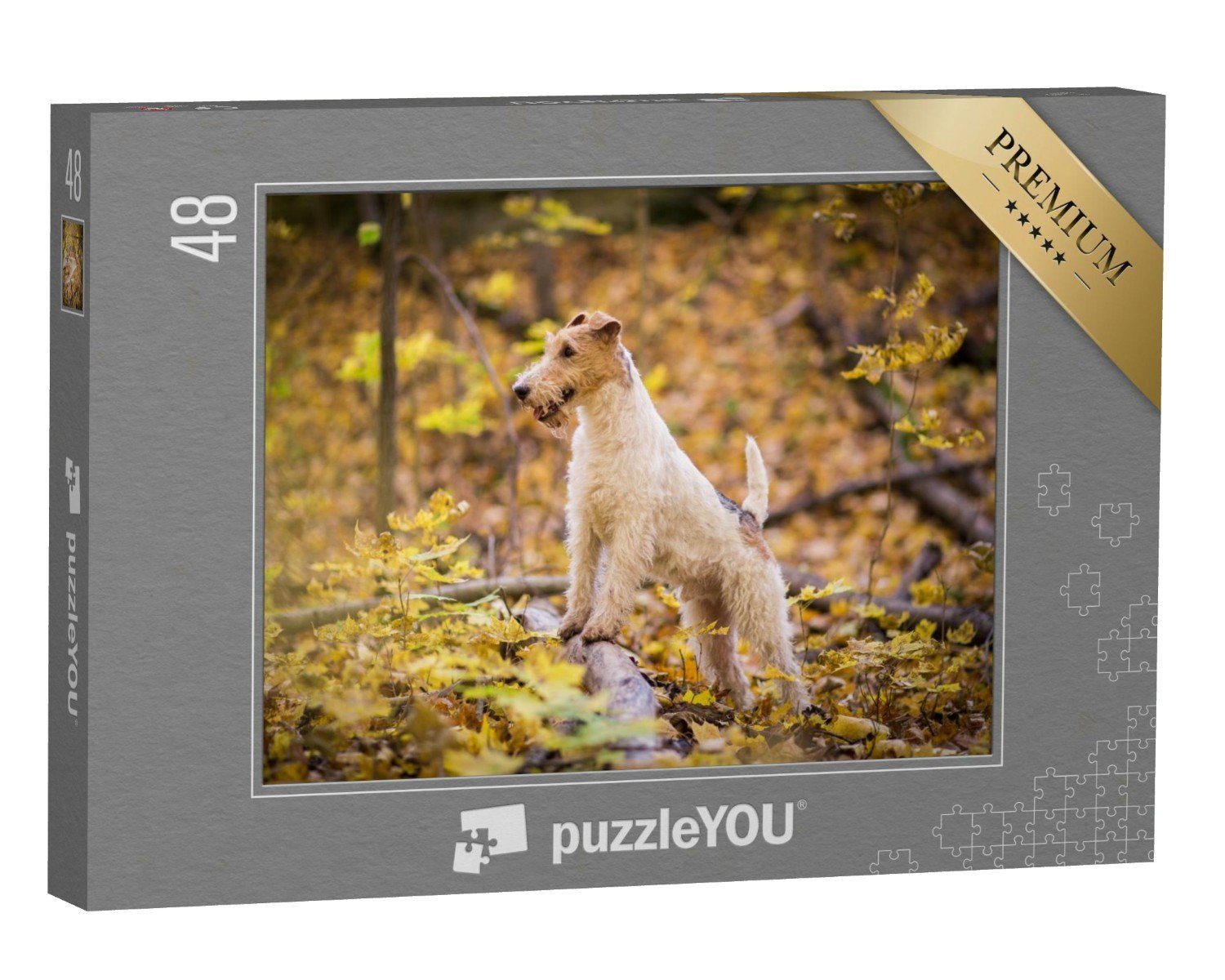 puzzleYOU Puzzle Drahthaar-Foxterrier Herbst, 48 Puzzleteile, puzzleYOU-Kollektionen Fox Terrier