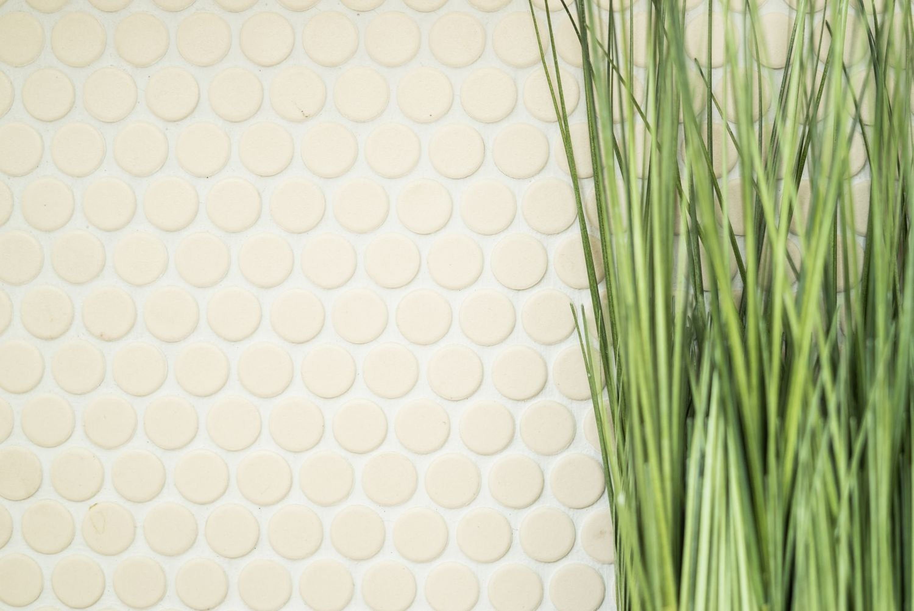 Mosani Knopfmosaik matt rutschsicher Bodenfliese Küche hellbeige Rund unglasiert Wand