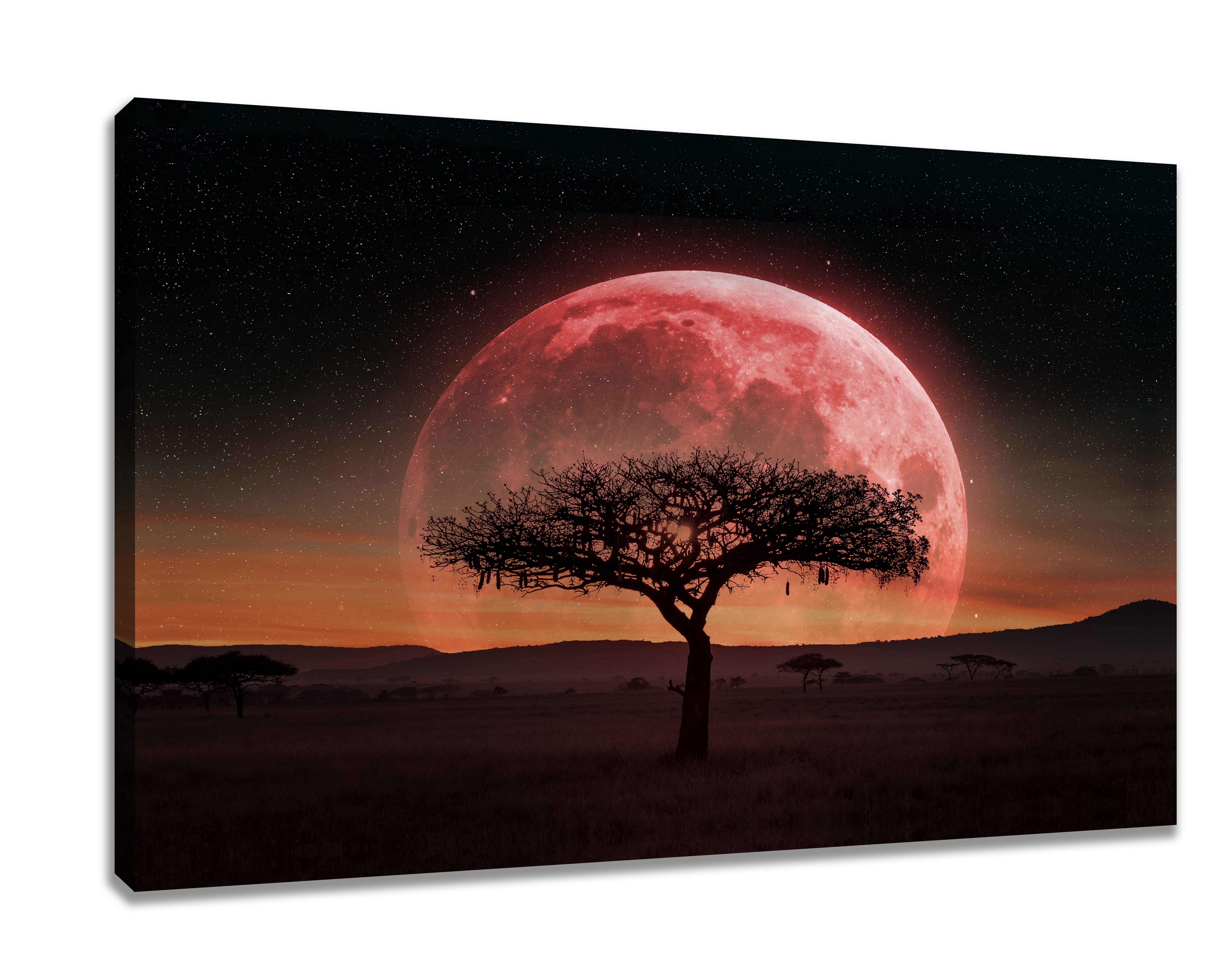 Visario Leinwandbild Wandbild auf Leinwand 80 günstig online kaufen