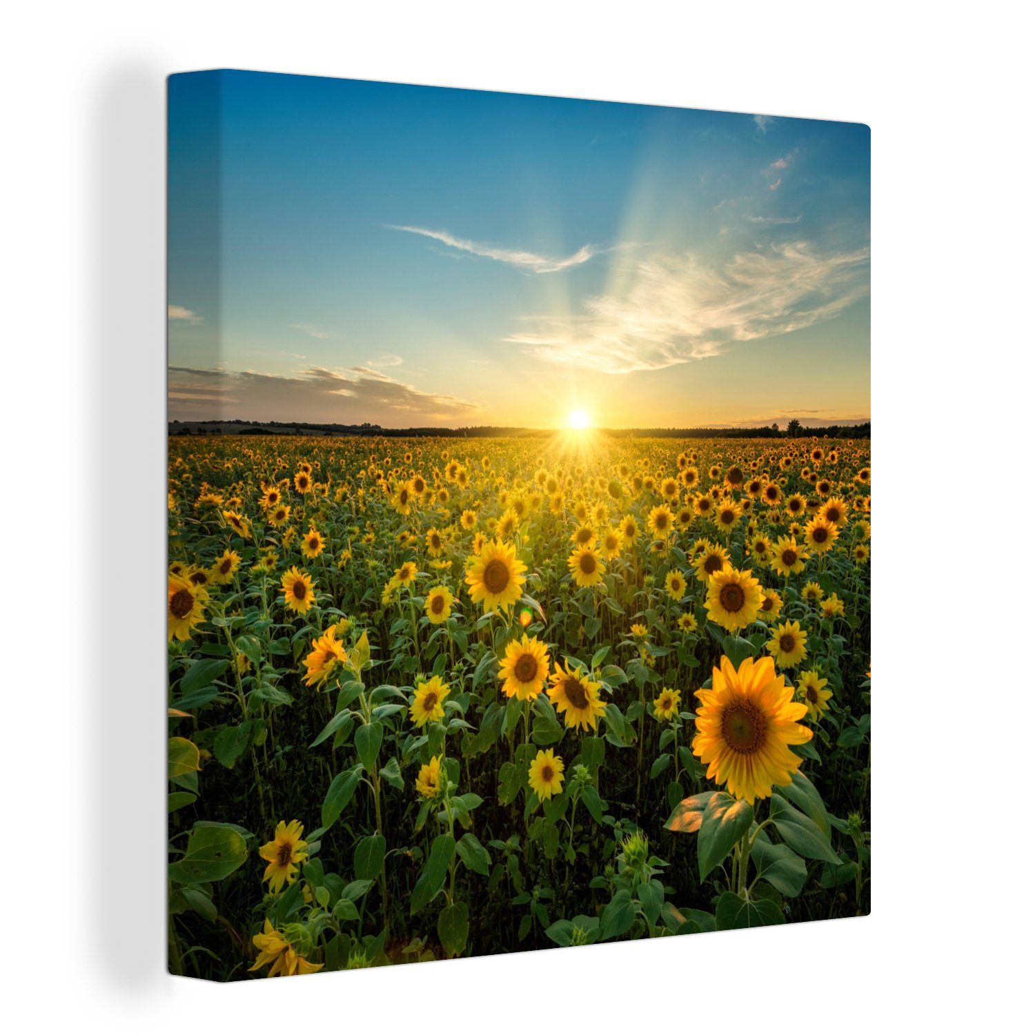 OneMillionCanvasses® Leinwandbild Sonnenuntergang - Blumen - Sonnenblume - Horizont - Landschaft, Fotodruck (1 St), Wandbild, Deko Schlafzimmer Wohnzimmer Flur 20x20 cm