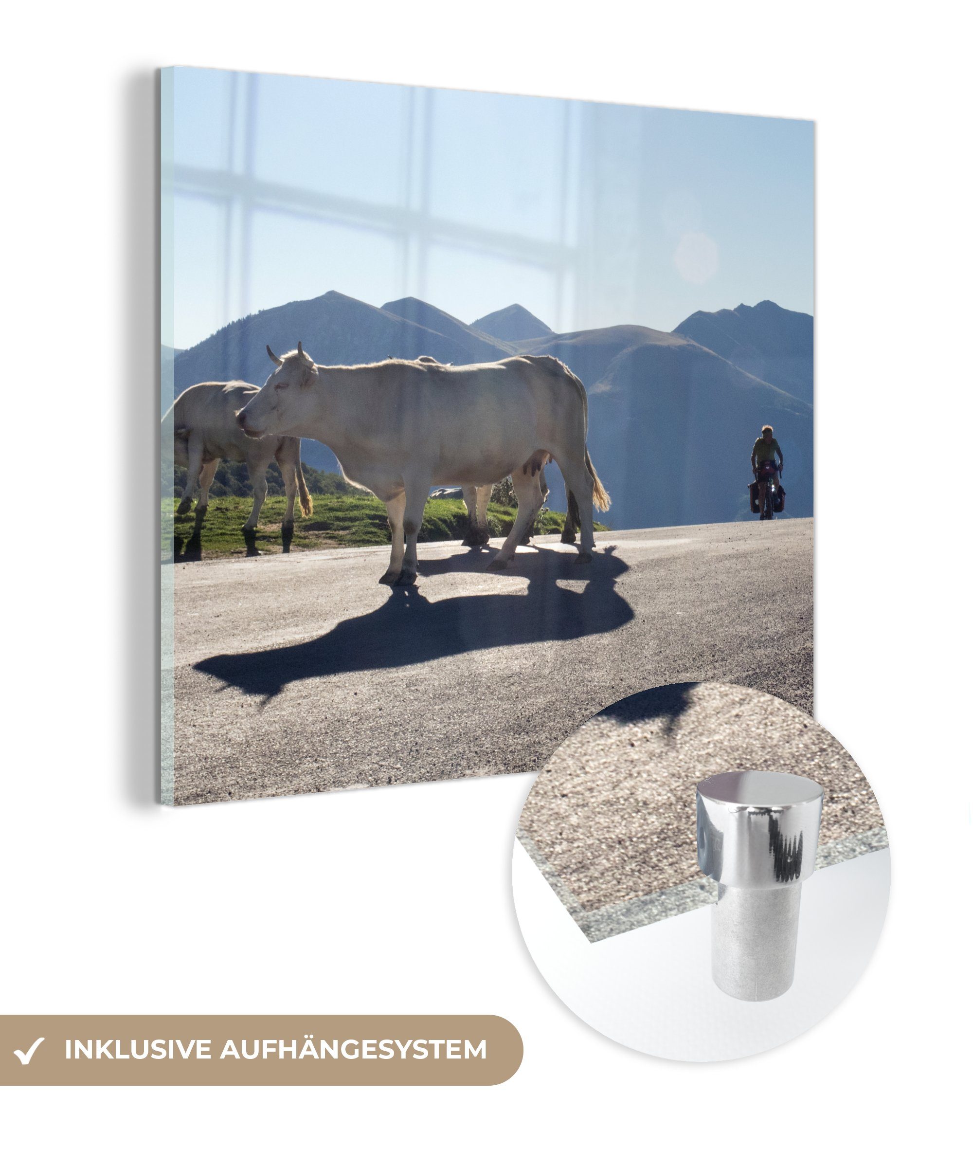 MuchoWow Acrylglasbild Schottische Highlander - Licht - Berge - Natur, (1 St), Glasbilder - Bilder auf Glas Wandbild - Foto auf Glas - Wanddekoration bunt
