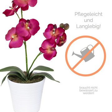 Kunstorchidee Orchidee Kunstblume Blume künstlich orchideentopf wie echt 1252, PassionMade, Höhe 60 cm, Dekoblume Dekoorchidee