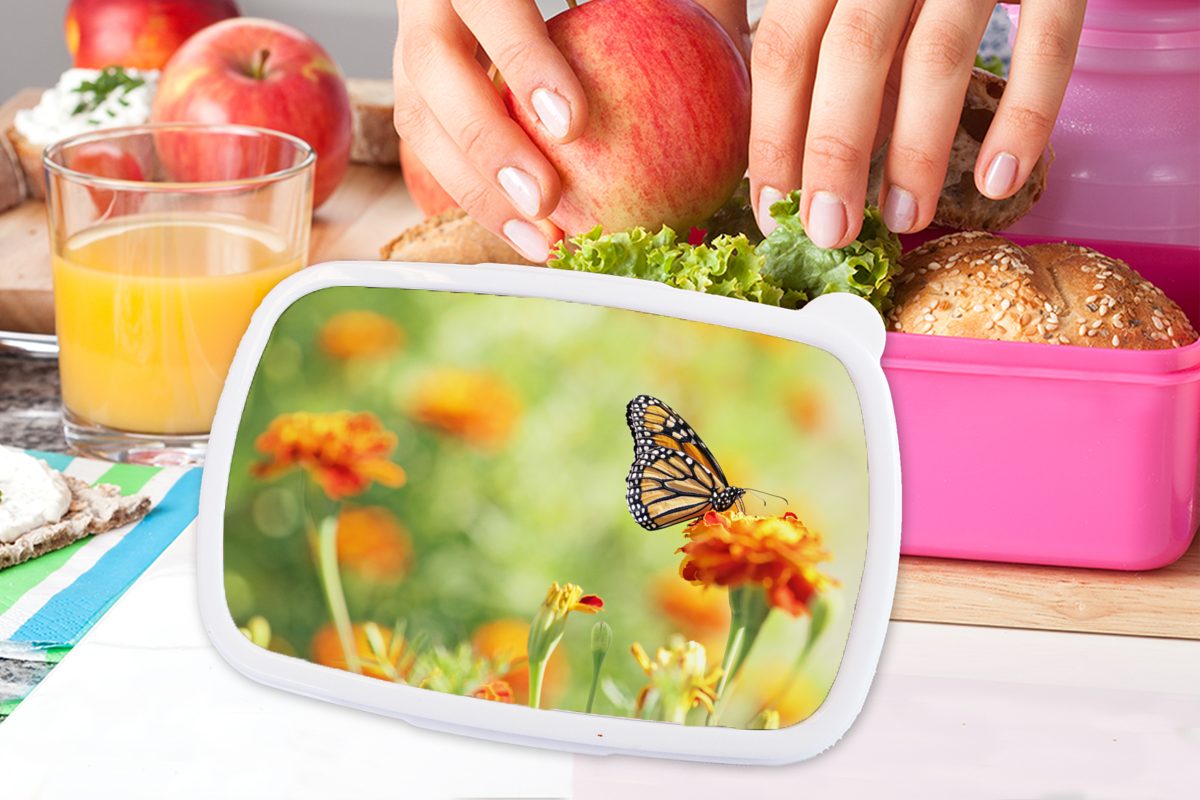 MuchoWow Lunchbox Monarchfalter auf Blüte, Mädchen, Brotbox Kinder, Erwachsene, Kunststoff rosa Snackbox, für Brotdose (2-tlg), Kunststoff