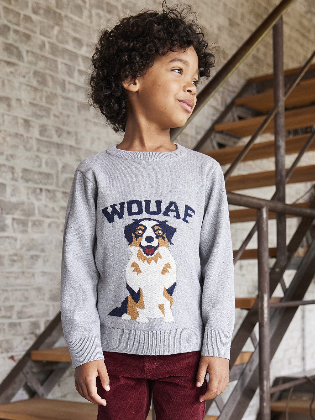 vertbaudet Pullunder Jungen Rundhals-Pullover mit Hund