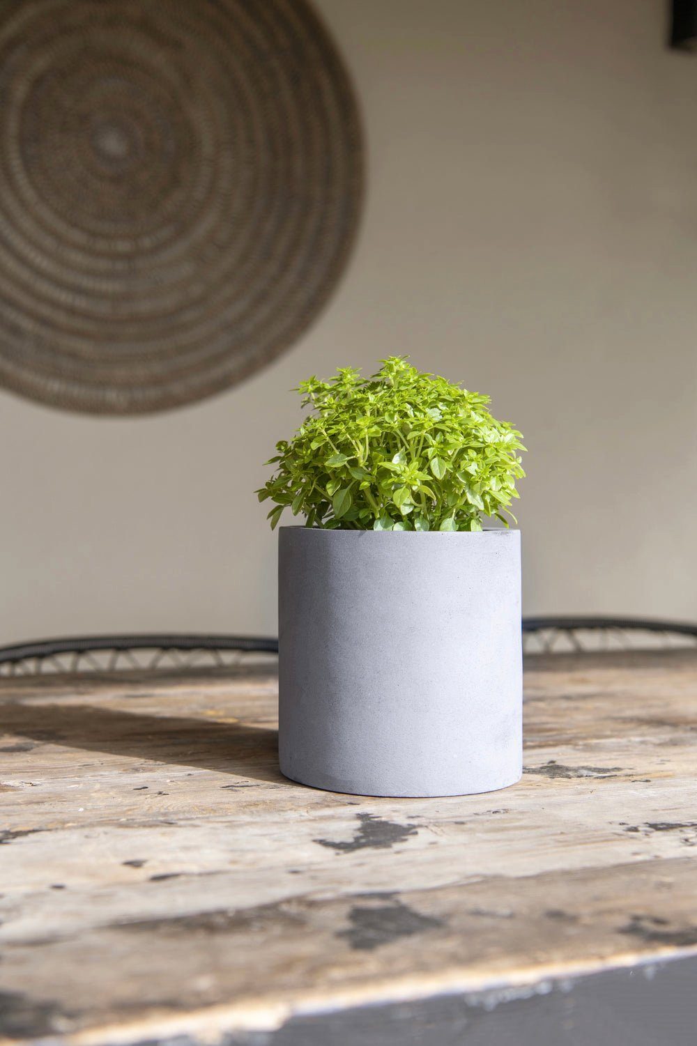 finestgreen Pflanzkübel Handgefertigtes Pflanzgefäß Mini Max günstig online kaufen