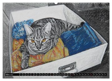 CALVENDO Wandkalender Samtpfoten - Katzen in Pastell (Premium, hochwertiger DIN A2 Wandkalender 2023, Kunstdruck in Hochglanz)