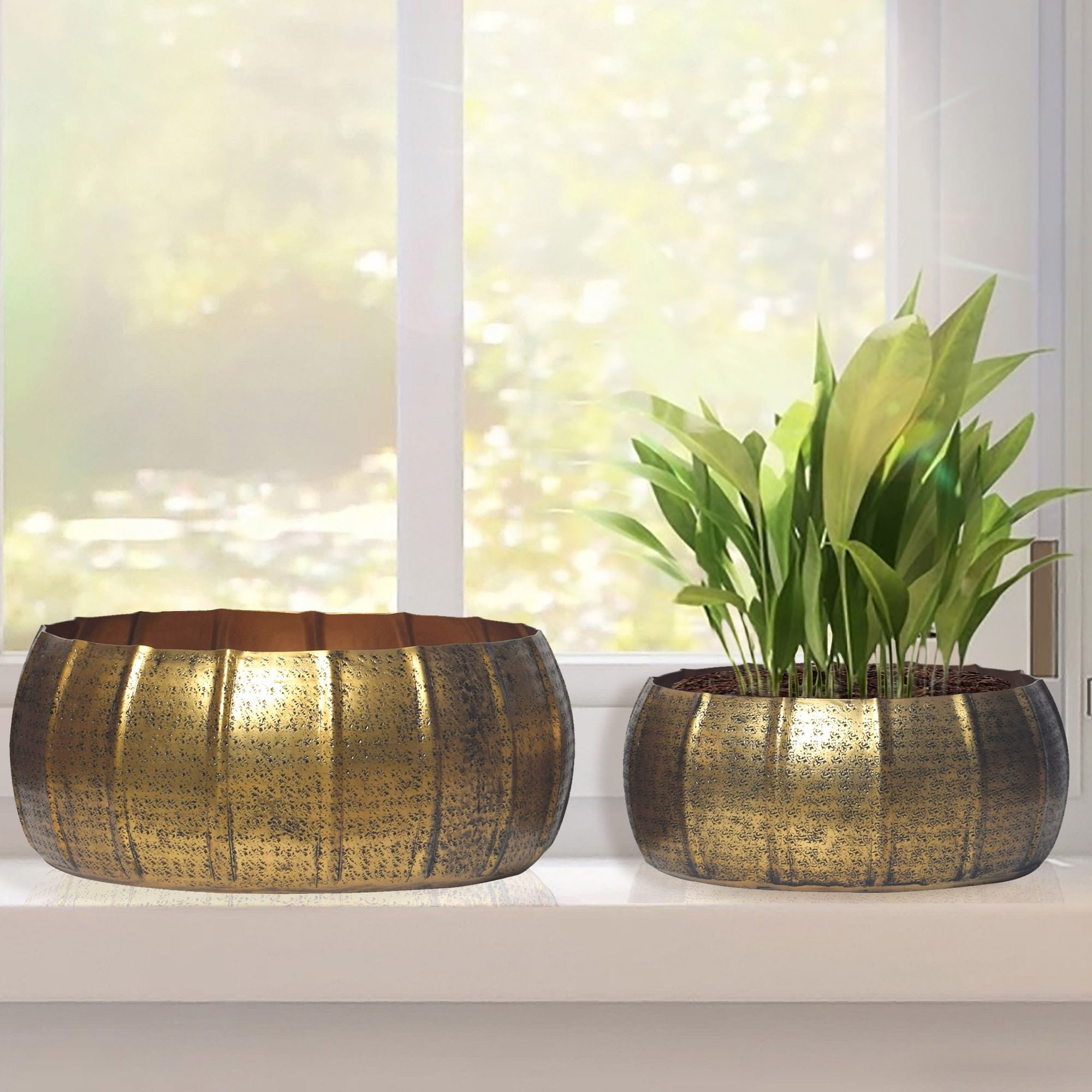 FINEBUY Blumentopf FB65135 Pflanzgefäß 2er Set Metall Schale Deko Rund Hammerschlag (Blumenschale 2er Set Metall Gold Rund), Pflanzenkübel 2-teilig, Blumenkübel Pflanzgefäß