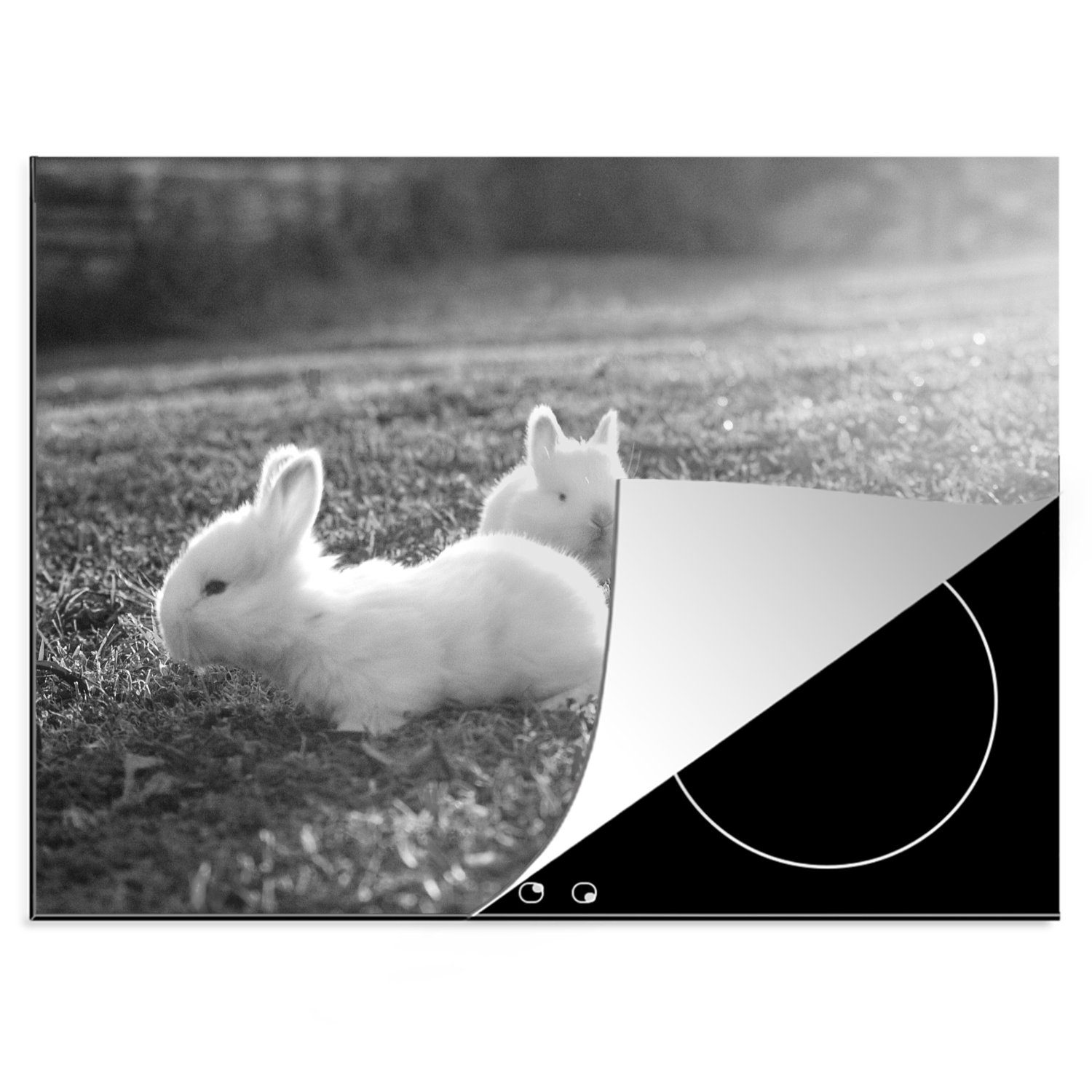 MuchoWow Herdblende-/Abdeckplatte Zwei kleine Kaninchen spielen im Gras - schwarz und weiß, Vinyl, (1 tlg), 70x52 cm, Mobile Arbeitsfläche nutzbar, Ceranfeldabdeckung