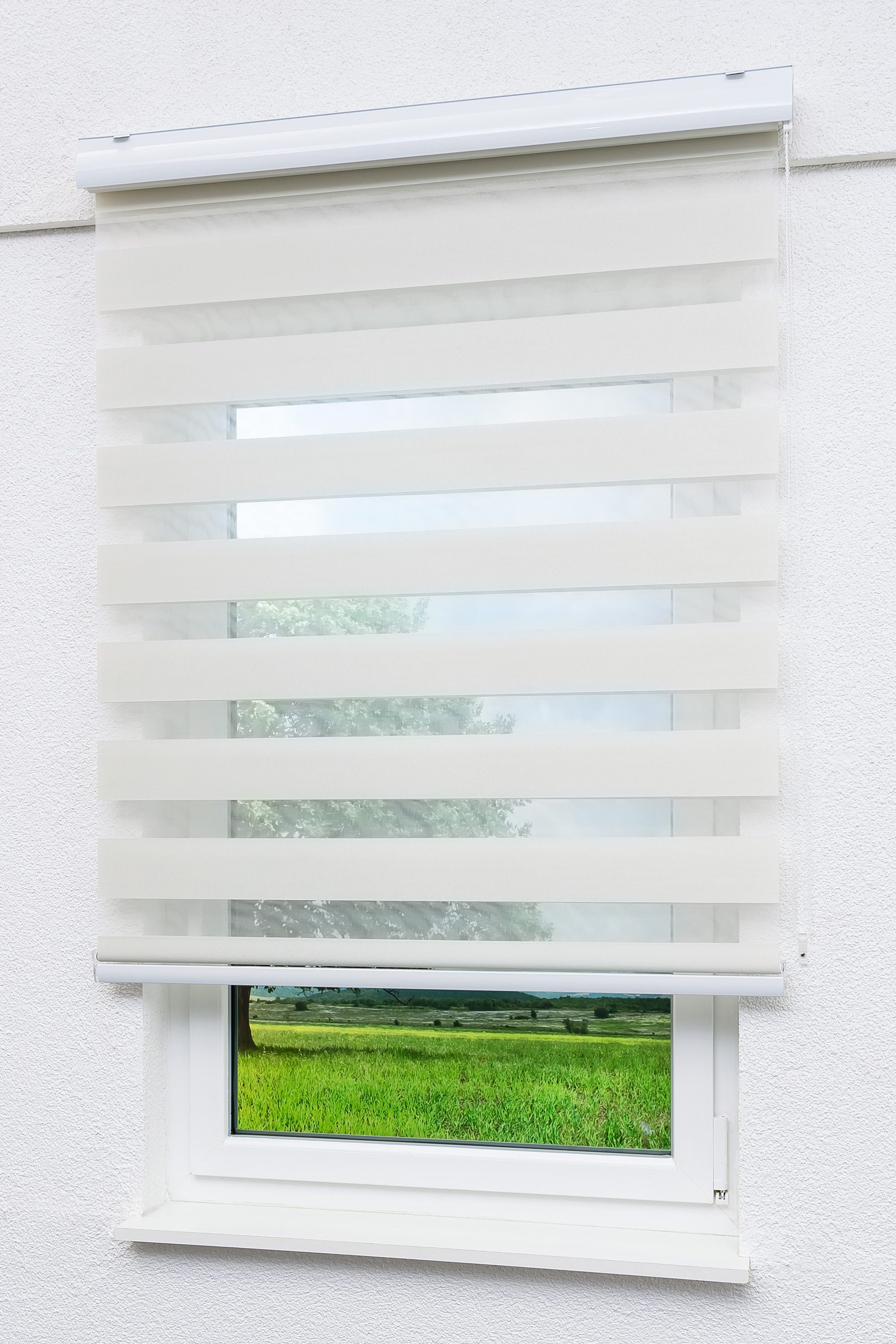 Rollo mit Blende Shiny Beige, LYSEL®, blickdicht, HxB 175x60cm