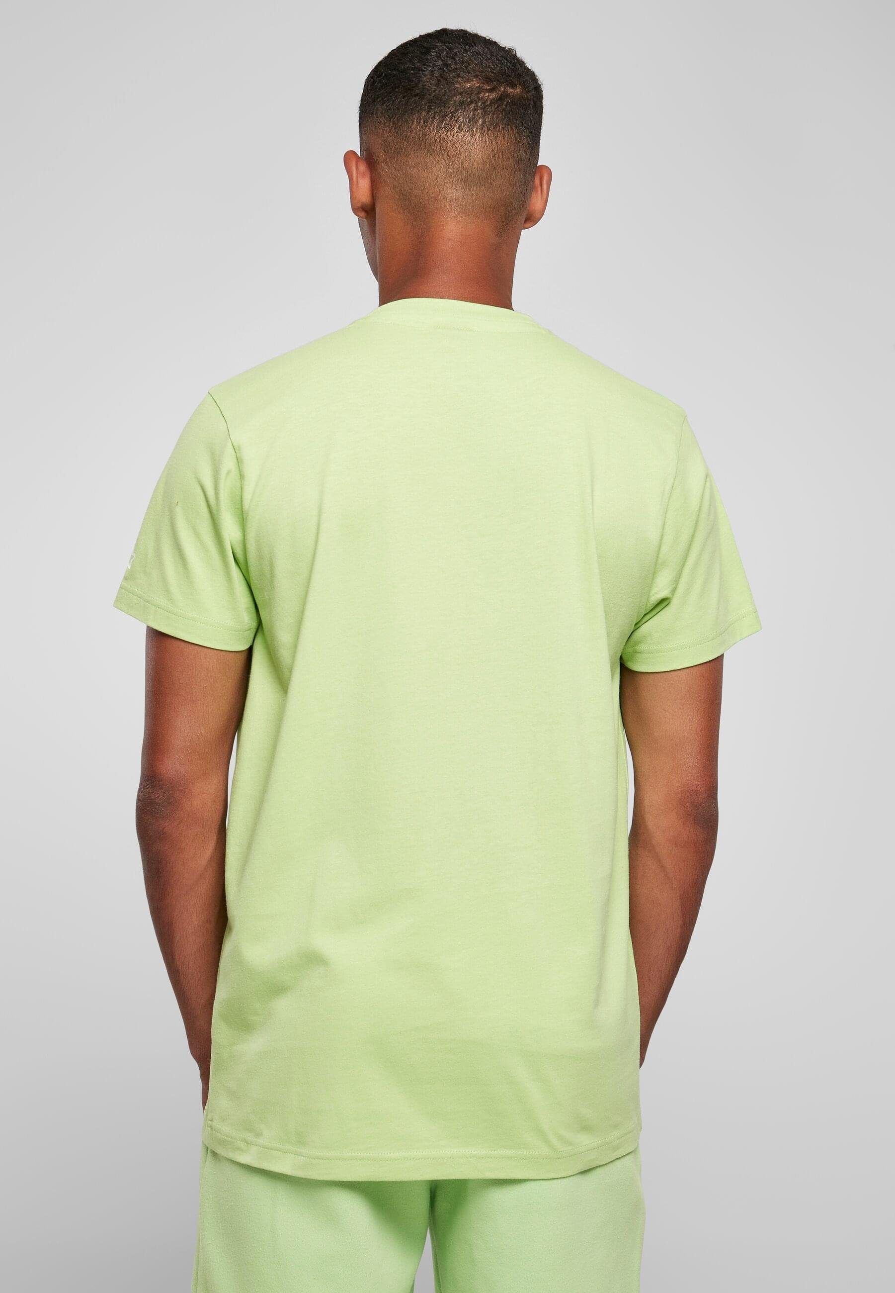 Starter T-Shirt Herren Starter Essential Jersey (1-tlg) jadegreen