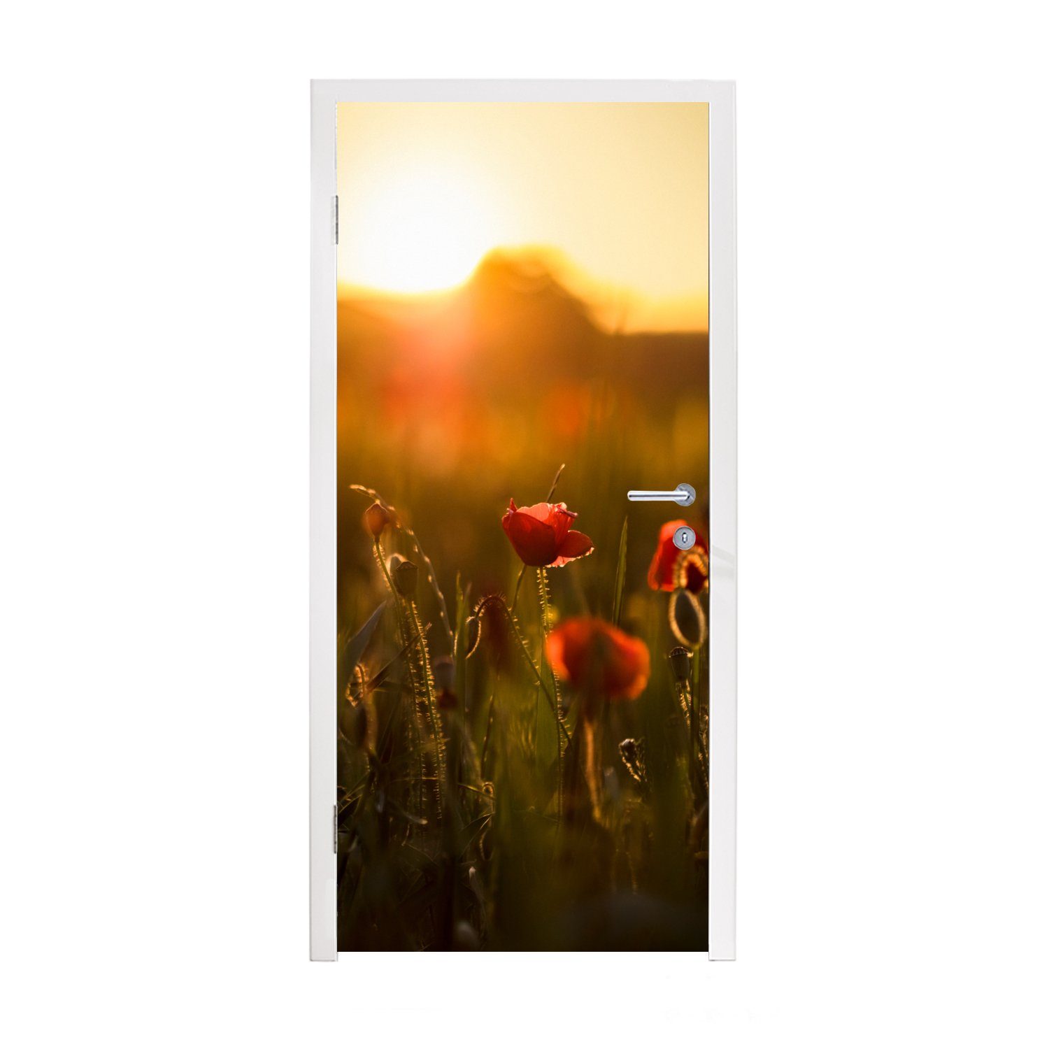 MuchoWow Türtapete Mohn - Sonnenuntergang - Gold, für Matt, Fototapete (1 bedruckt, St), Türaufkleber, Tür, cm 75x205