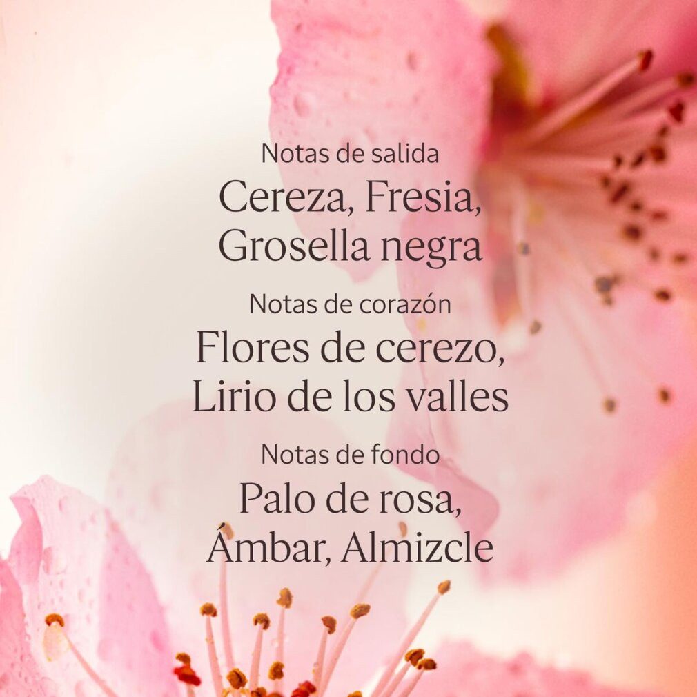 L'OCCITANE Körperpflegemittel FLEURS DE CERISIER Duschgel