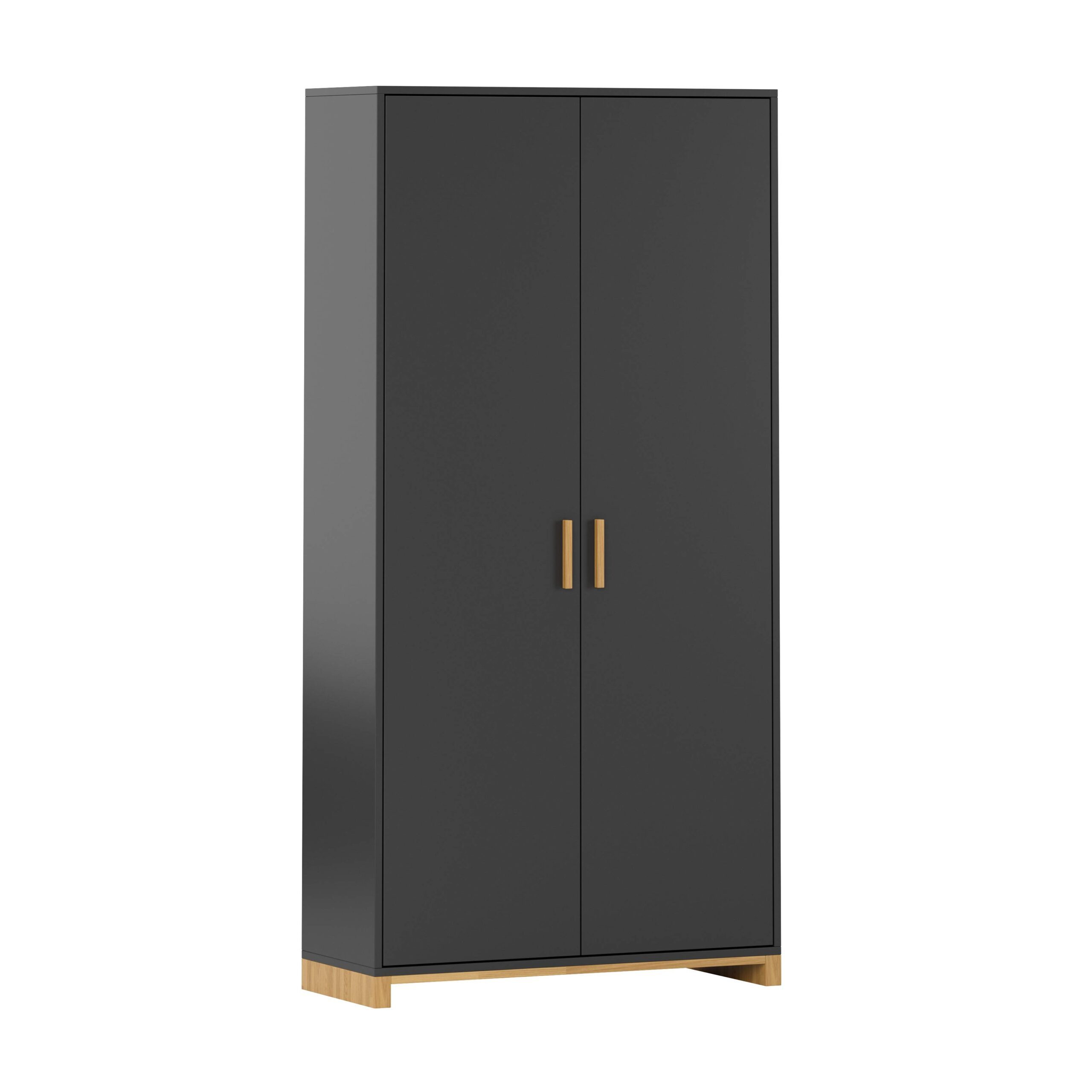 Deerhorn Aktenschrank Moderner Schrank, 2 Türen, Soft-Close Breite: 100 cm, Höhe: 200 cm, Tiefe: 40 cm