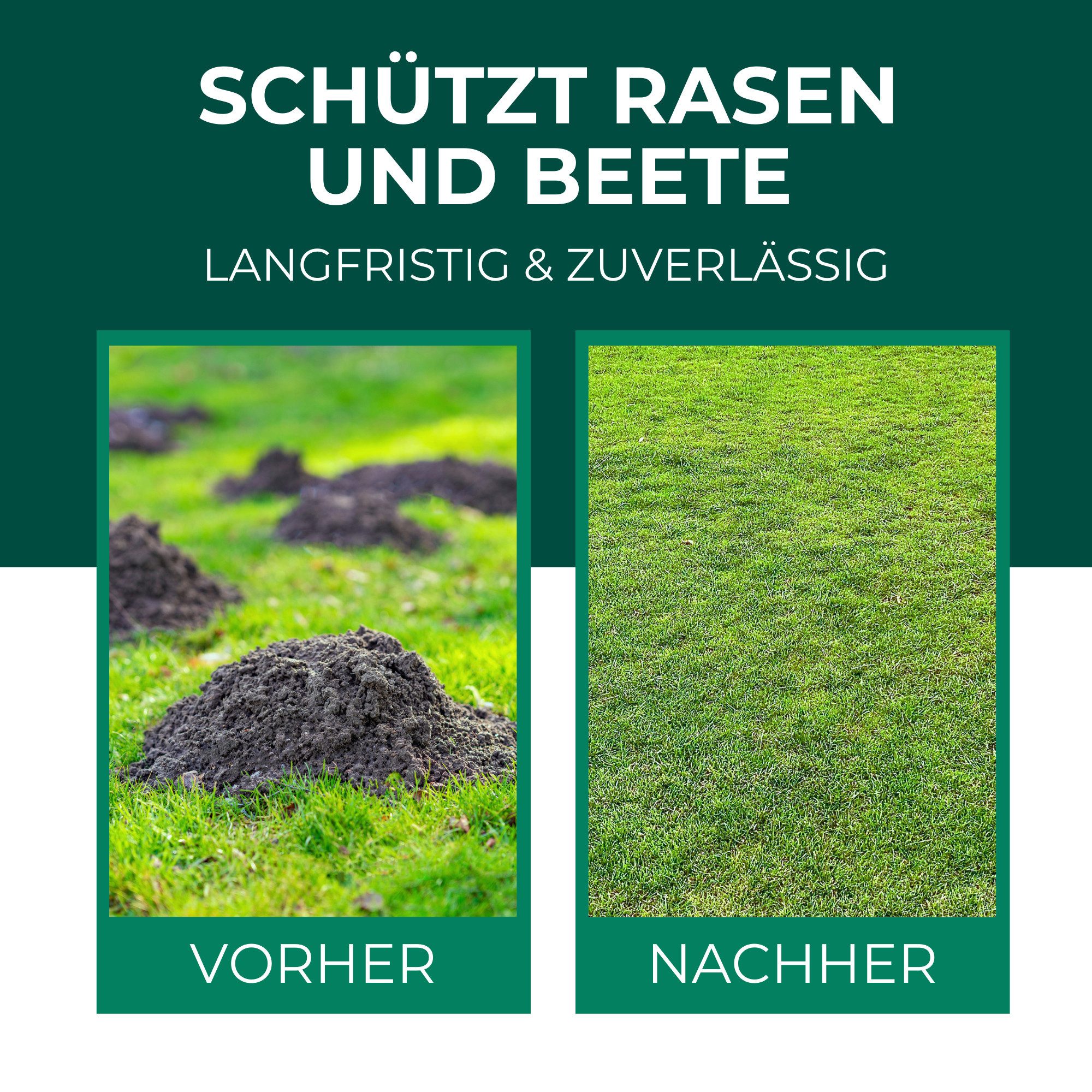 Thumbnail - Silberkraft Vergrämungsmittel Silberkraft Wühlmaus- und Maulwurf-Vertreiber Granulat, Wühlmausabwehr, 400 g, für Garten,...