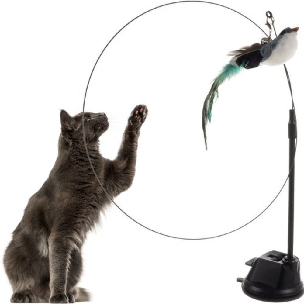 Katzenspielrad Katzenspielzeug Spielzeug Katzen
