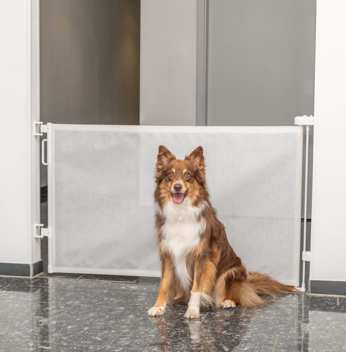 TRIXIE Absperrgitter TRIXIE Absperr-Rollo - diverse - 0–137 × 86 cm, 100 cm