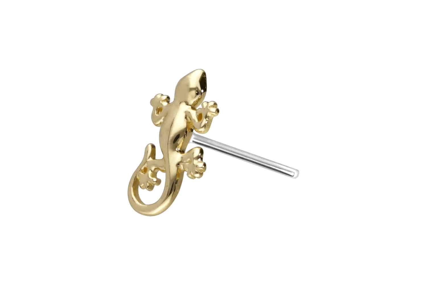 Piercing-Set 14 Karat Gold Aufsatz mit Titan Push Pin GECKO