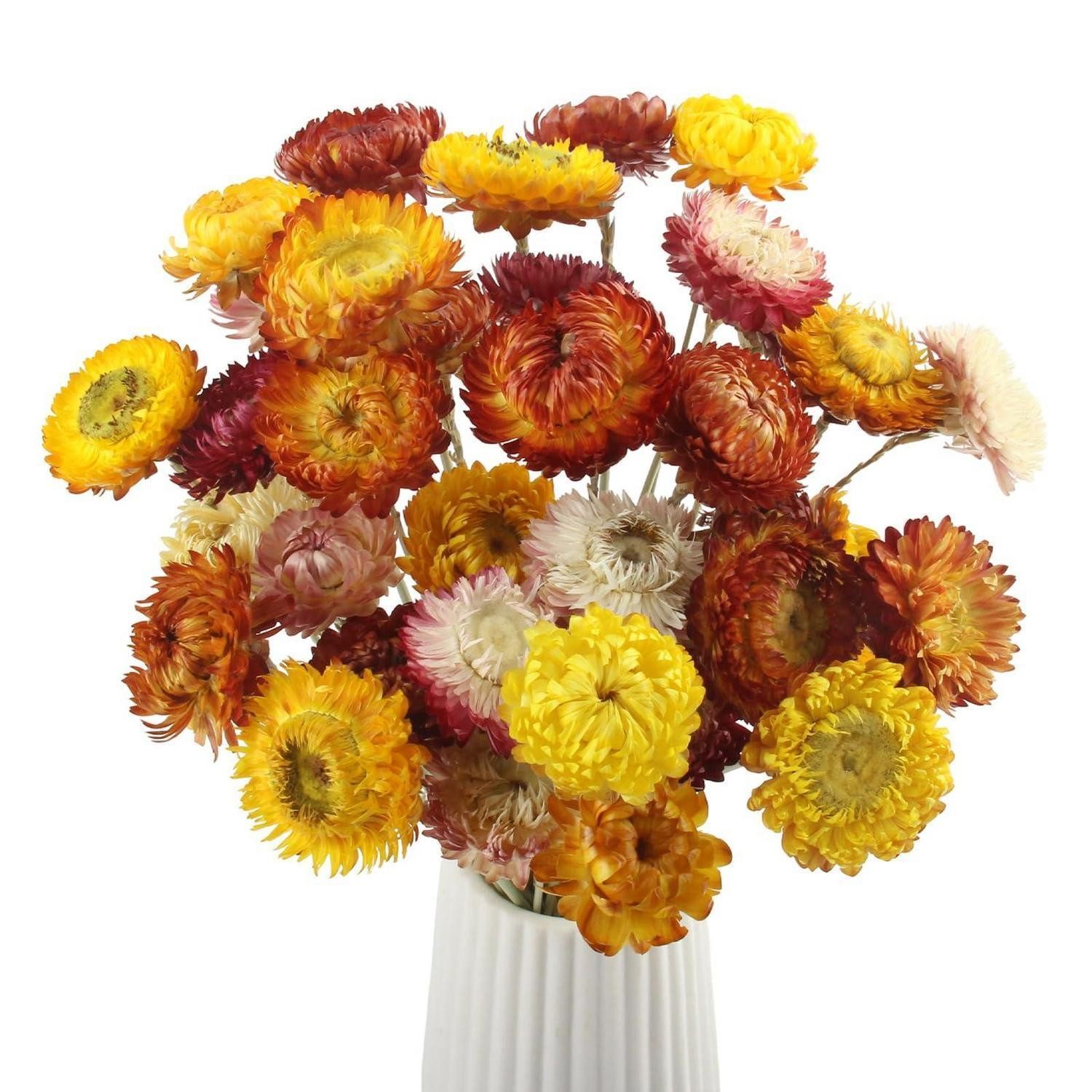 Trockenblume Trockenblumen 32 Stück bunt Natur, LuxusKollektion, Höhe 15 cm