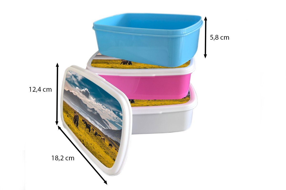 Kinder Pferde, - MuchoWow Kunststoff, Erwachsene, und Lunchbox für Island Brotbox - Brotdose, Berge (2-tlg), weiß und für Jungs Mädchen