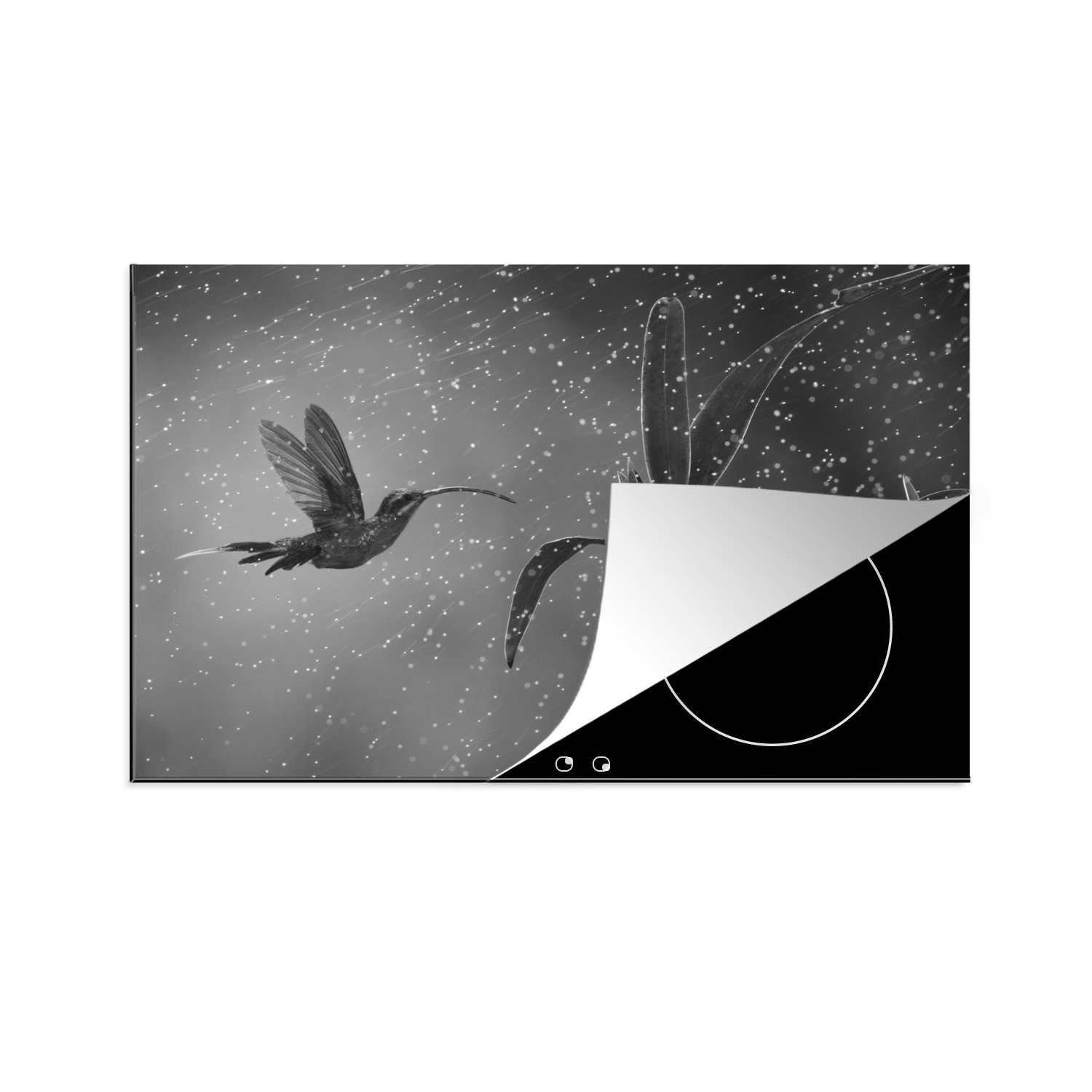 MuchoWow Herdblende-/Abdeckplatte Kolibri im Regen in der Natur von Costa Rica in schwarz und weiß, Vinyl, (1 tlg), 81x52 cm, Induktionskochfeld Schutz für die küche, Ceranfeldabdeckung