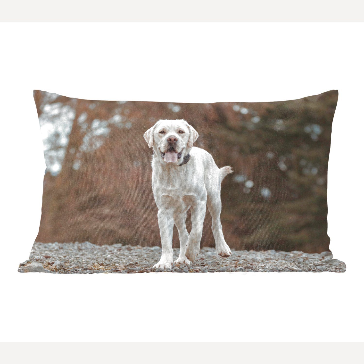 MuchoWow Dekokissen Ein weißer Labrador Retriever auf den Steinen, Wohzimmer Dekoration, Zierkissen, Dekokissen mit Füllung, Schlafzimmer