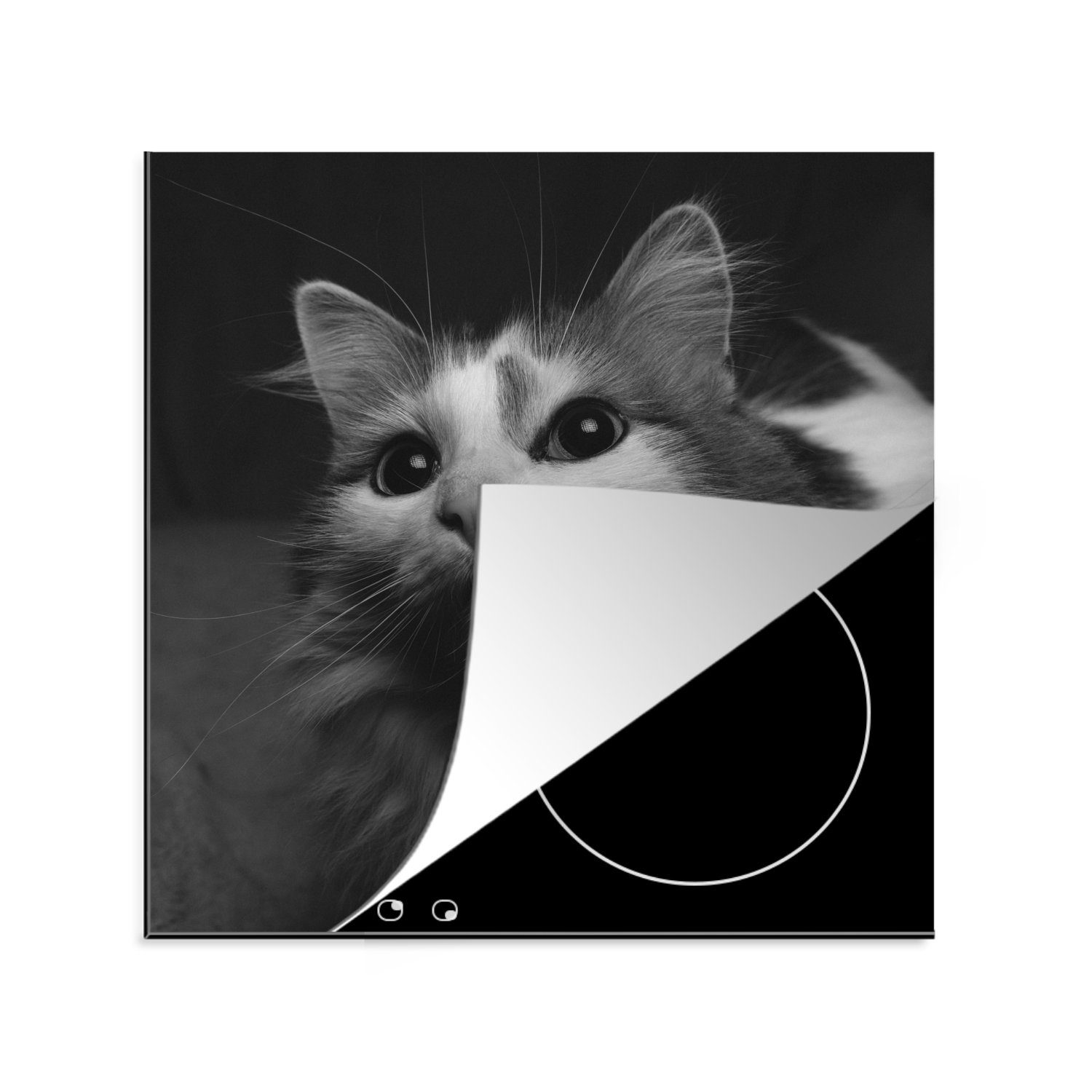 MuchoWow Herdblende-/Abdeckplatte Tierprofil Katze in schwarz und weiß, Vinyl, (1 tlg), 78x78 cm, Ceranfeldabdeckung, Arbeitsplatte für küche